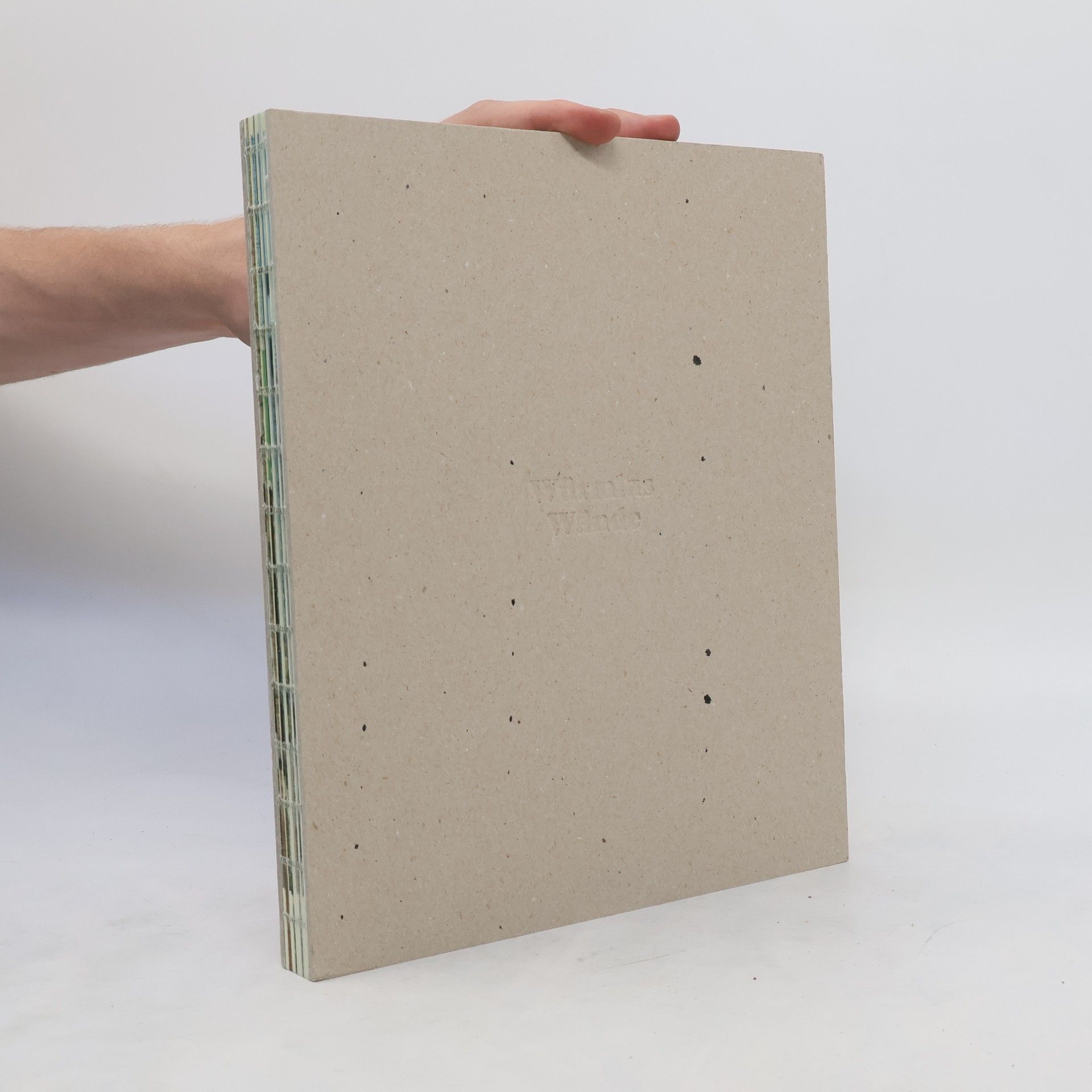 AA.VV. Würmlas Wände