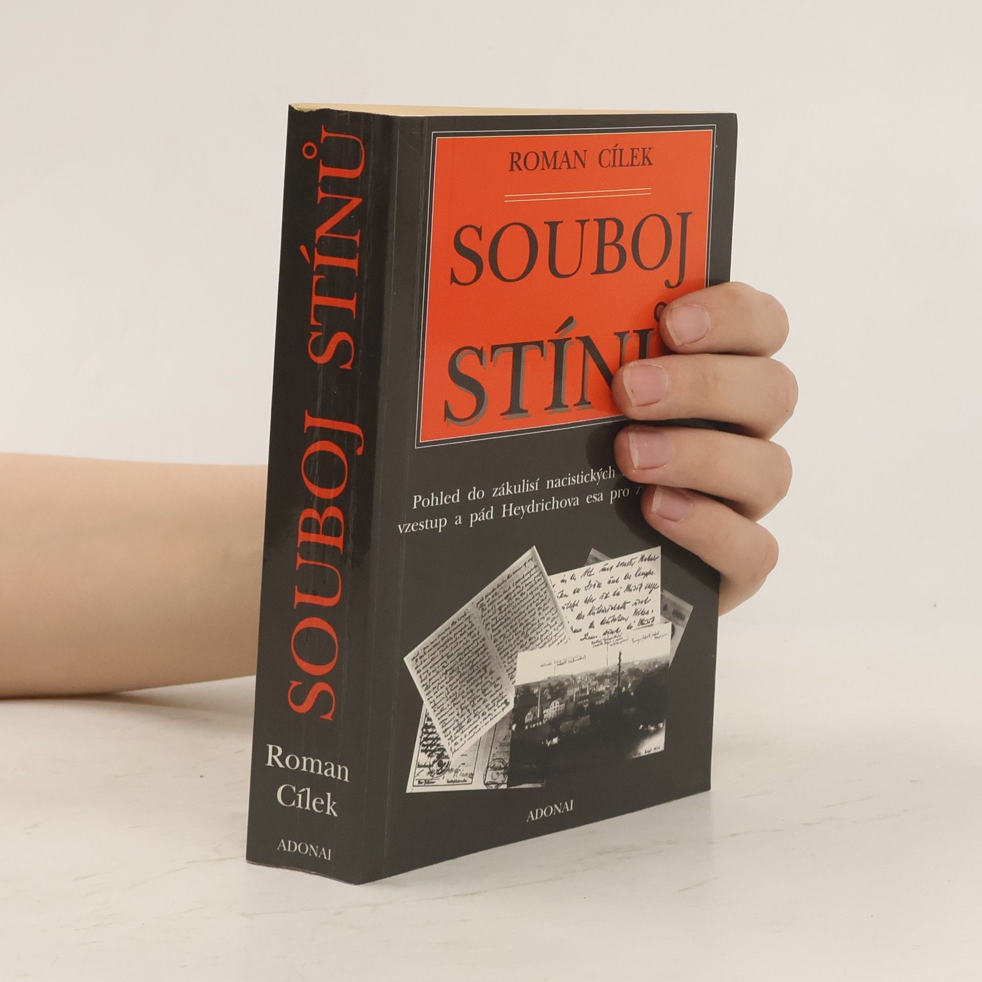 Roman Cílek Souboj stínů