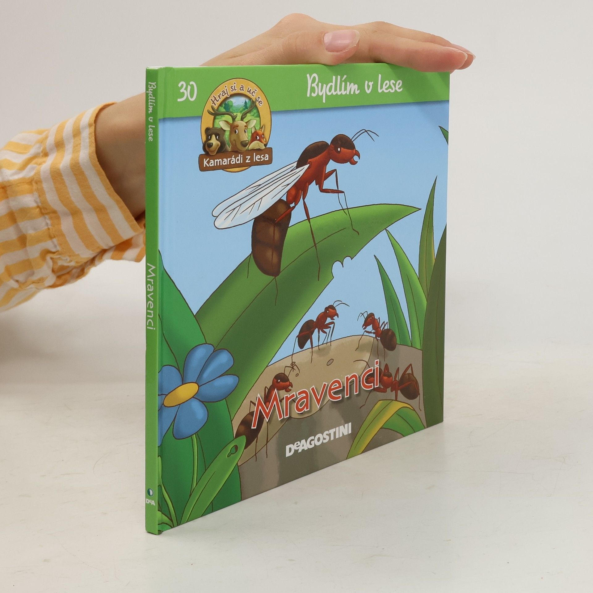 kolektiv Bydlím v lese 30. Mravenci