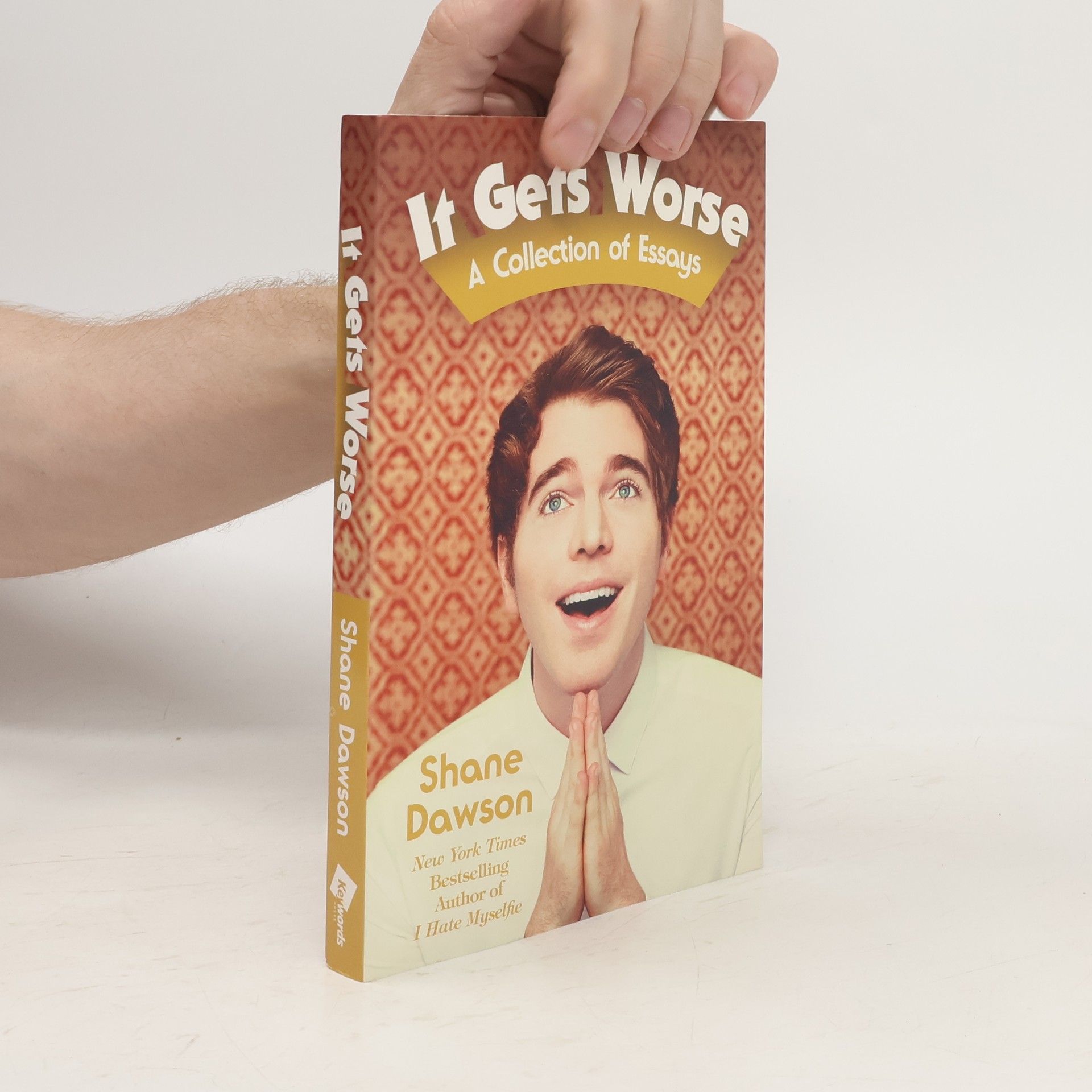 Shane Dawson It gets worse : a collection of essays