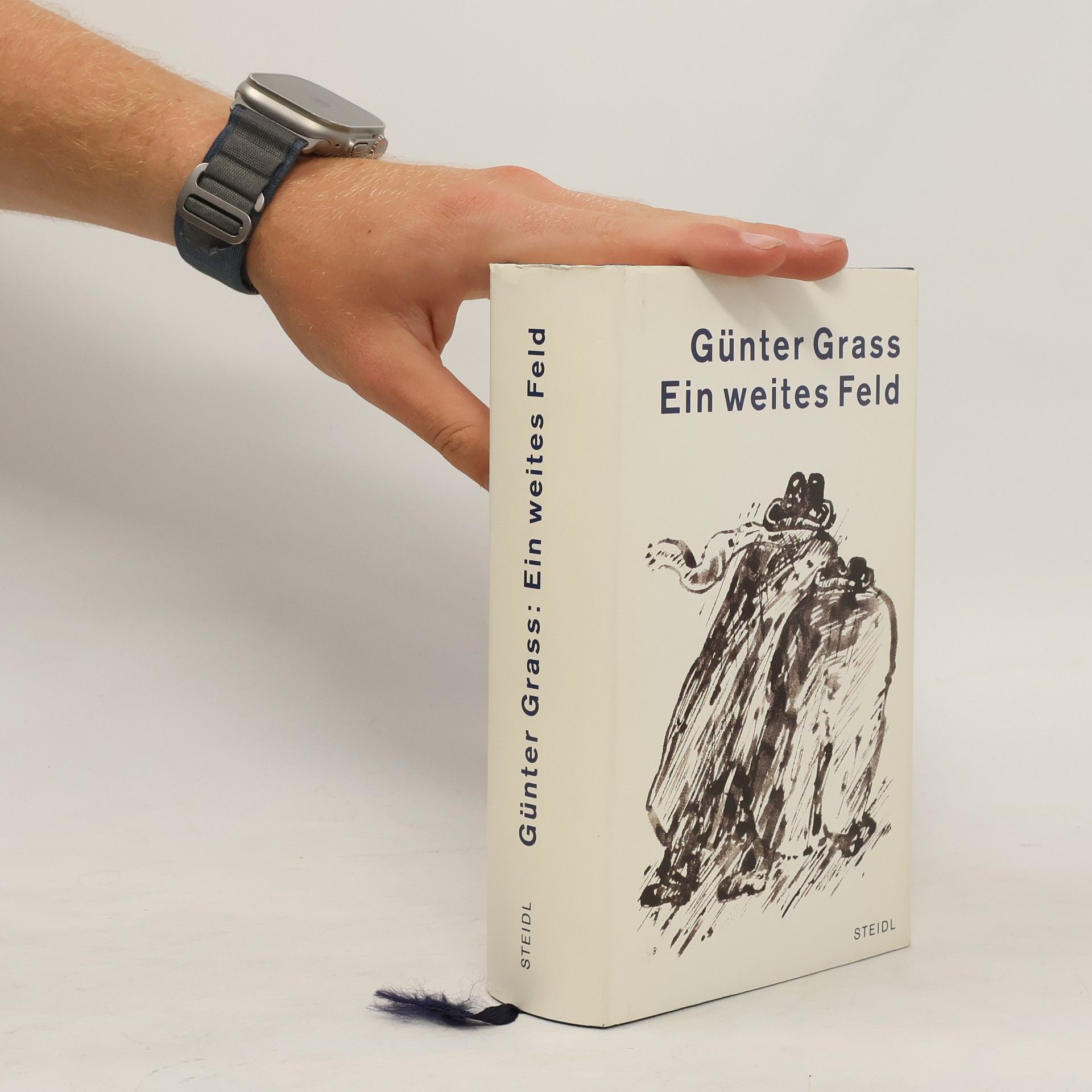 Günter Grass Ein weites Feld