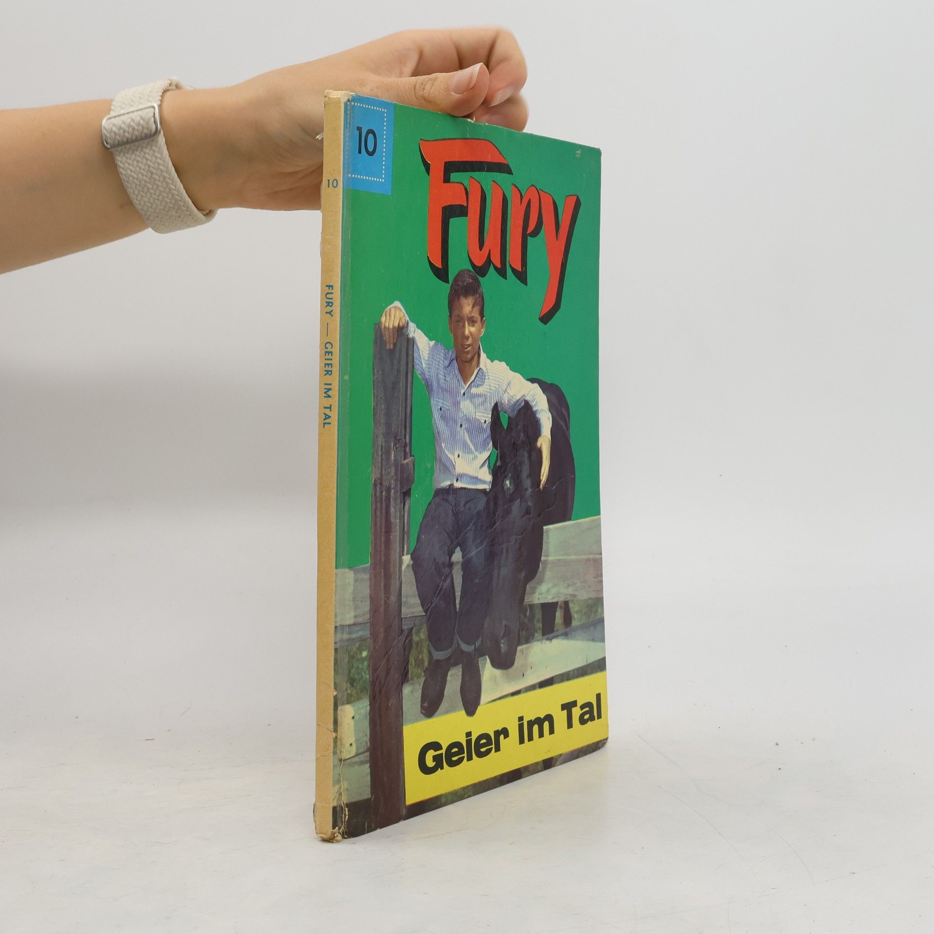 kolektiv Fury. Geier im Tal 10.