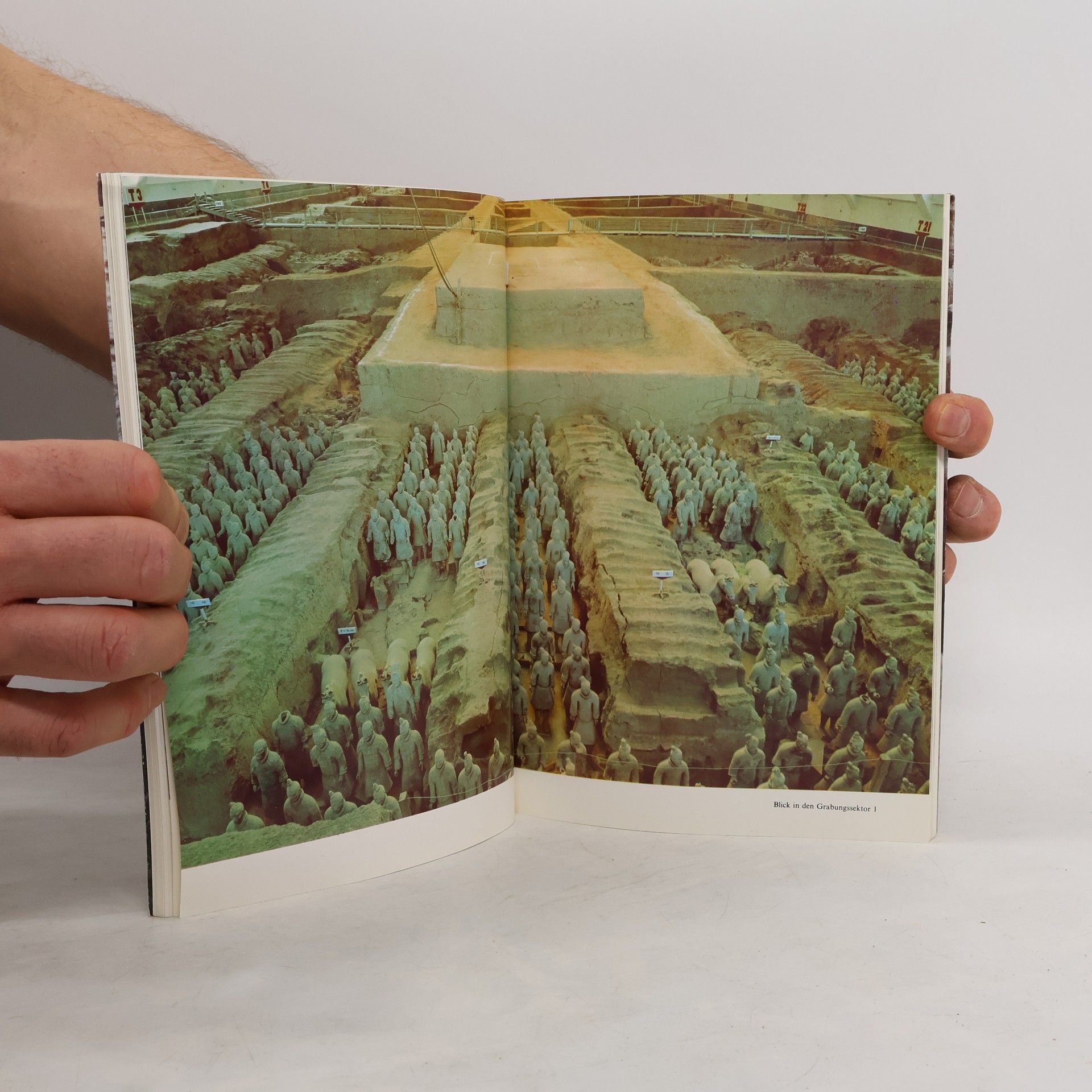 Autorenkollektiv Krieger- und Pferdefiguren aus Ton am Muasoleum von Qin Shi Huang, dem Ersten Kaiser von China