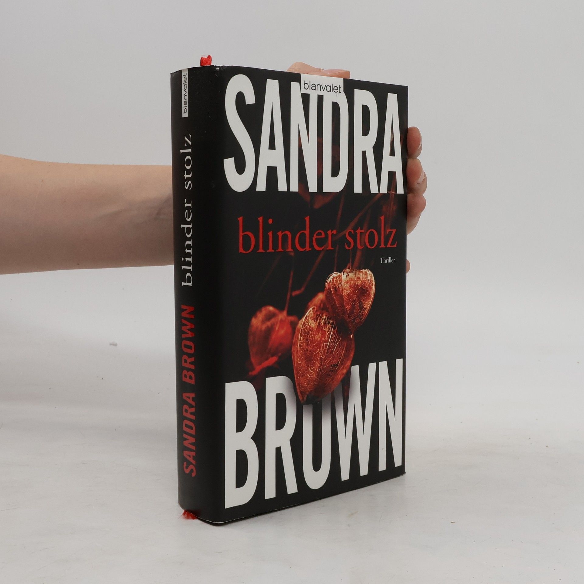 Sandra Brown Blinder Stolz