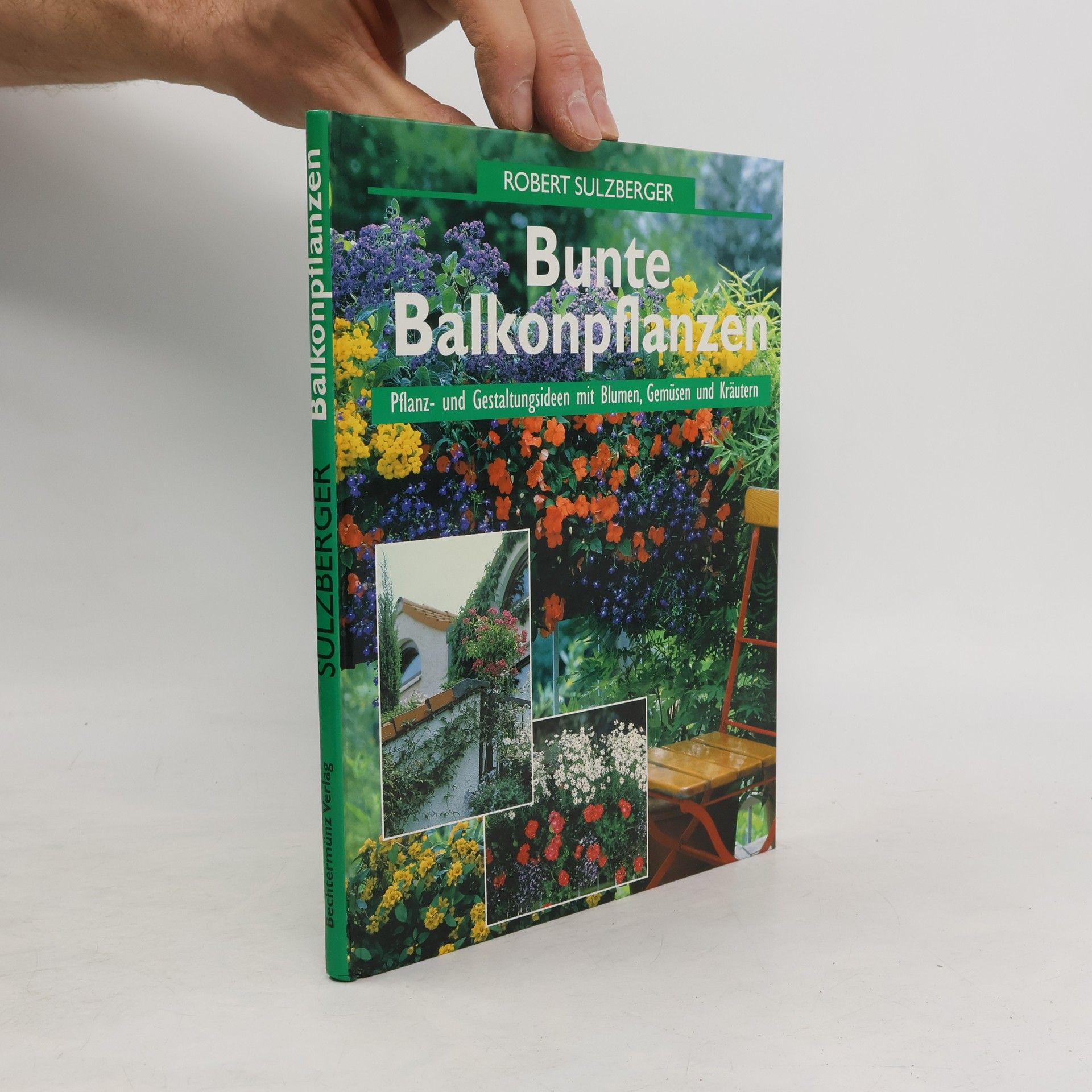 Robert Sulzberger Bunte Balkonpflanzen