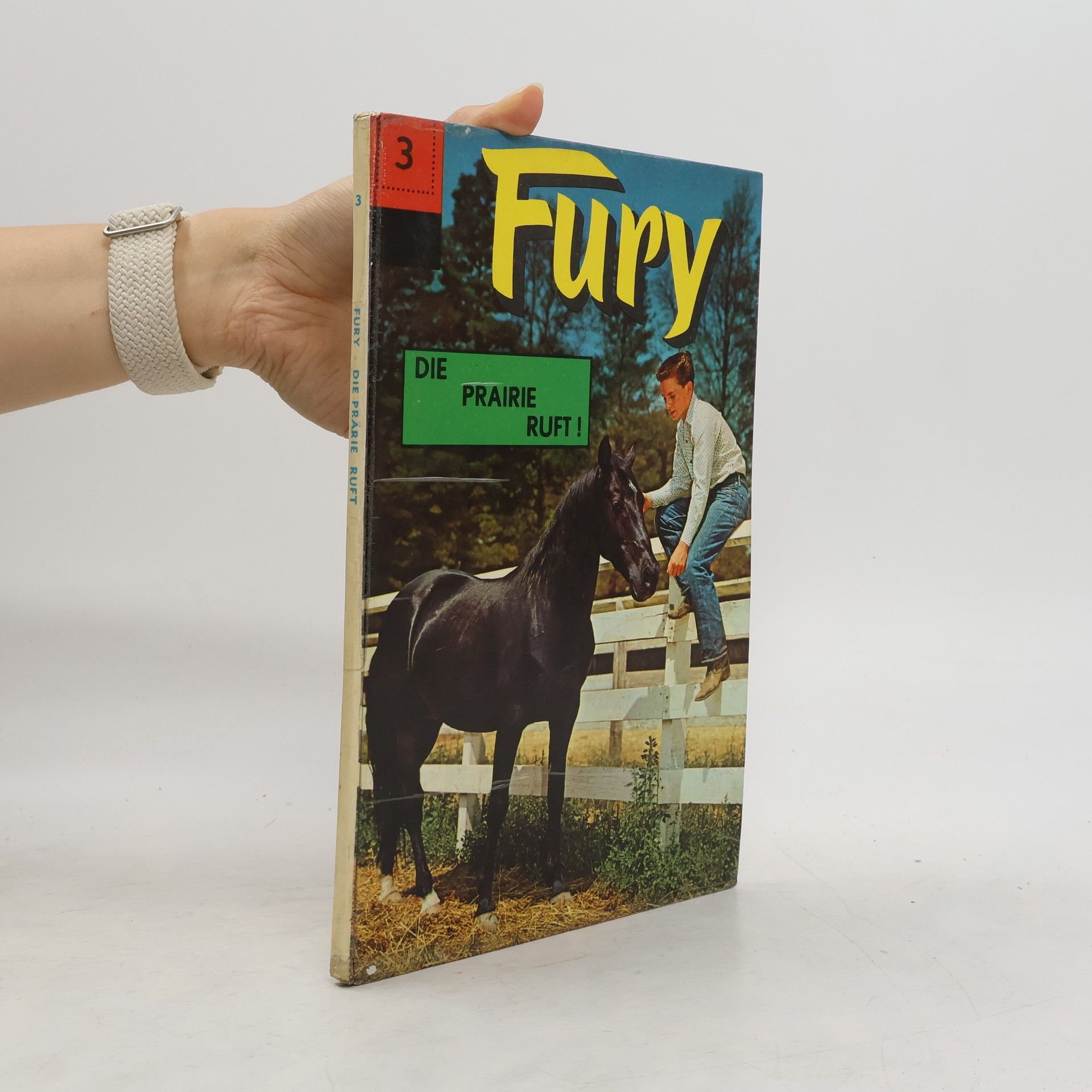 René van Nerum Fury