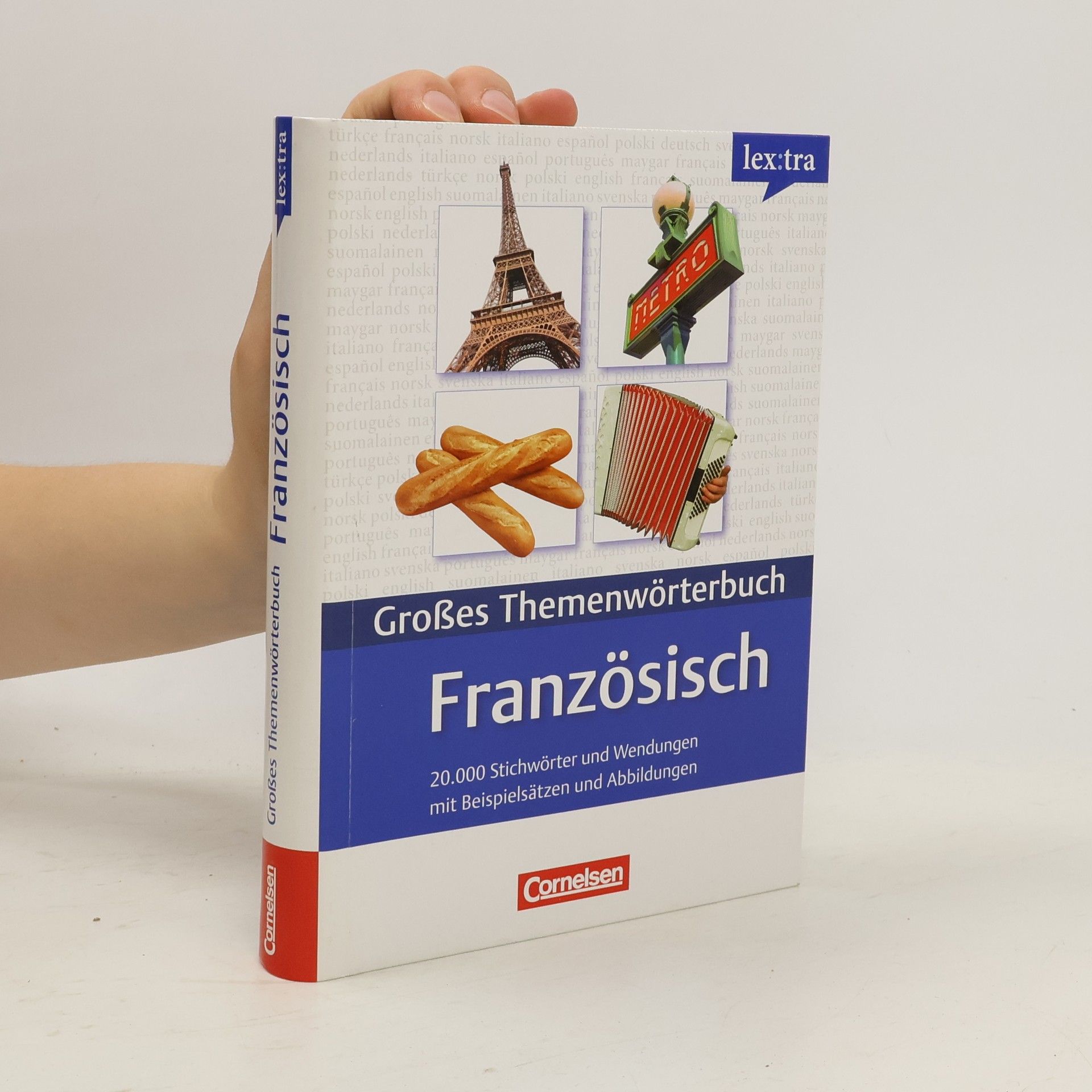 Wolfgang Worsch Großes Themenwörterbuch Französisch