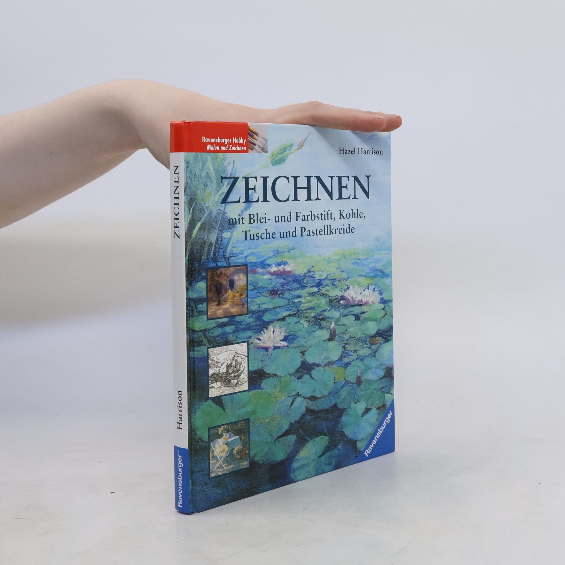 Hazel Harrison Zeichnen mit Blei- und Farbstift, Kohle, Tusche und Pastellkreide