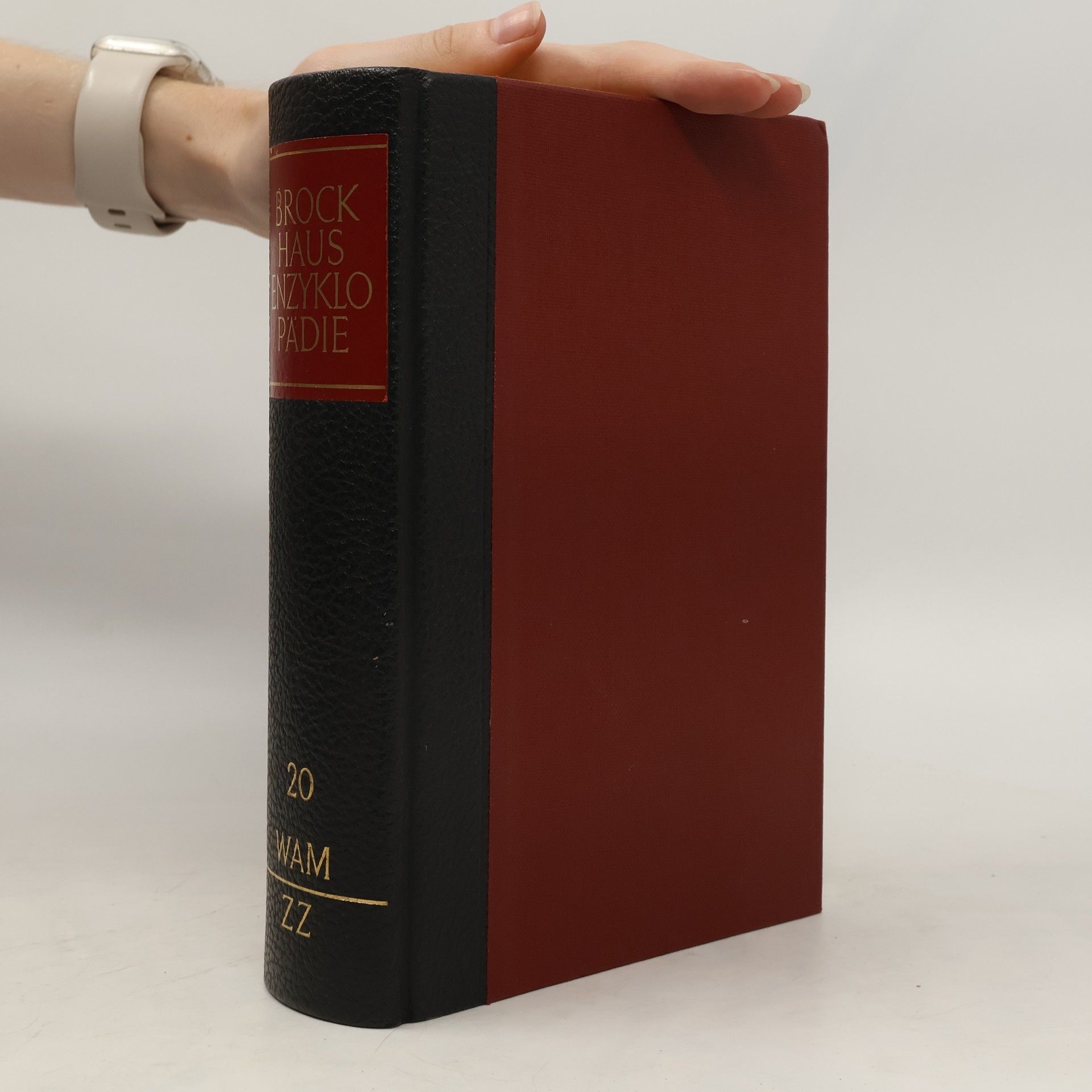 kolektiv Brockhaus Enzyklopädie 20