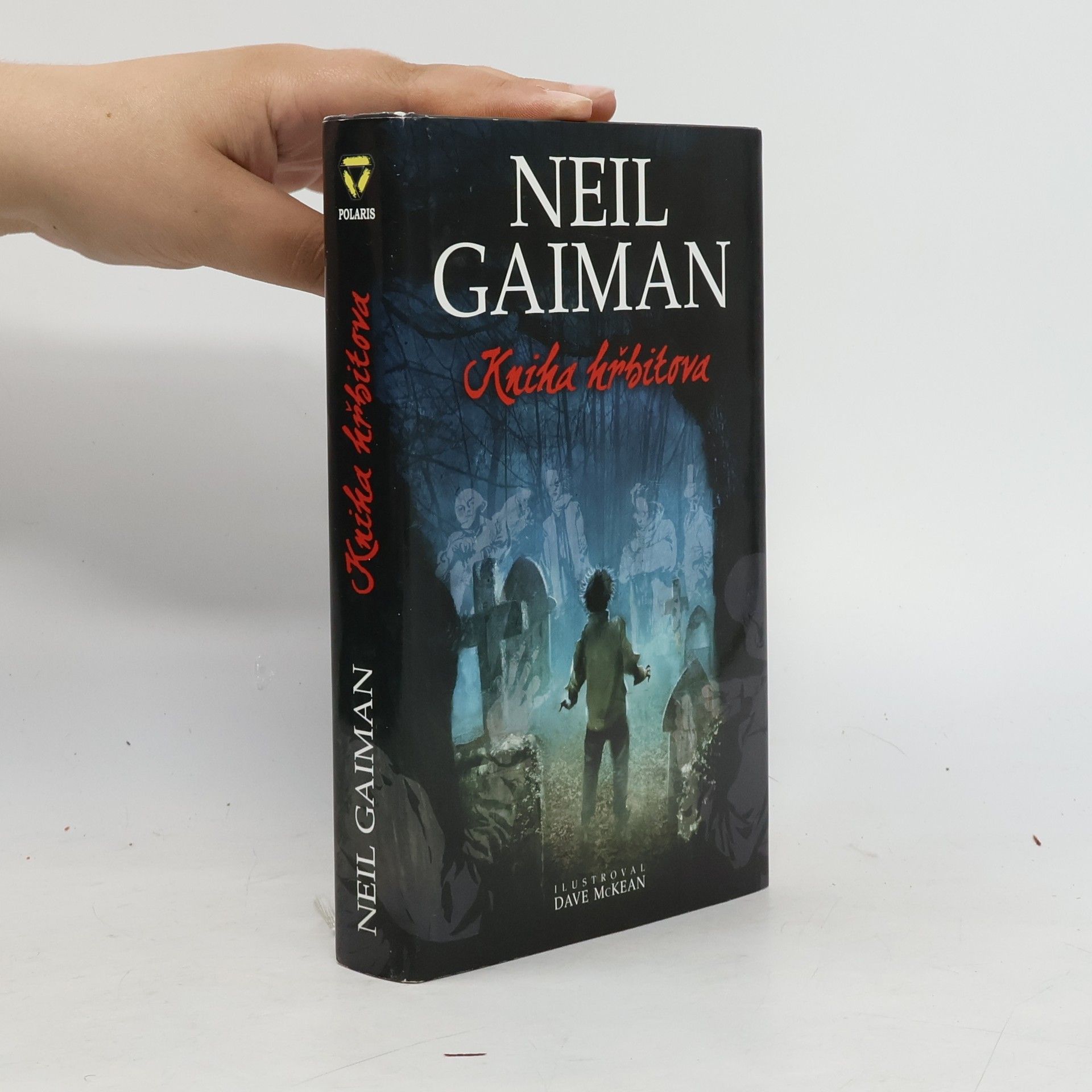Neil Gaiman Kniha hřbitova