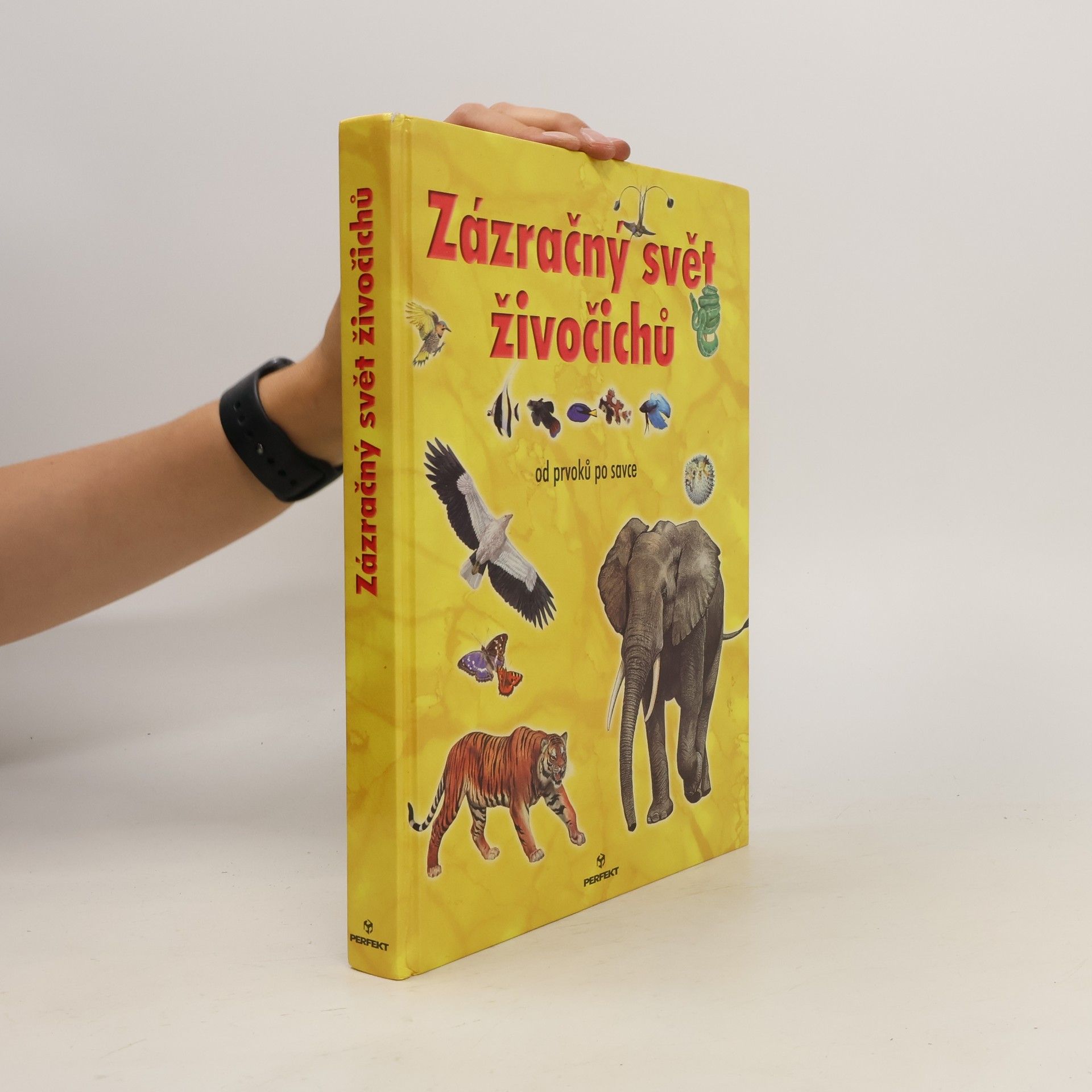kolektiv Zázračný svět živočichů