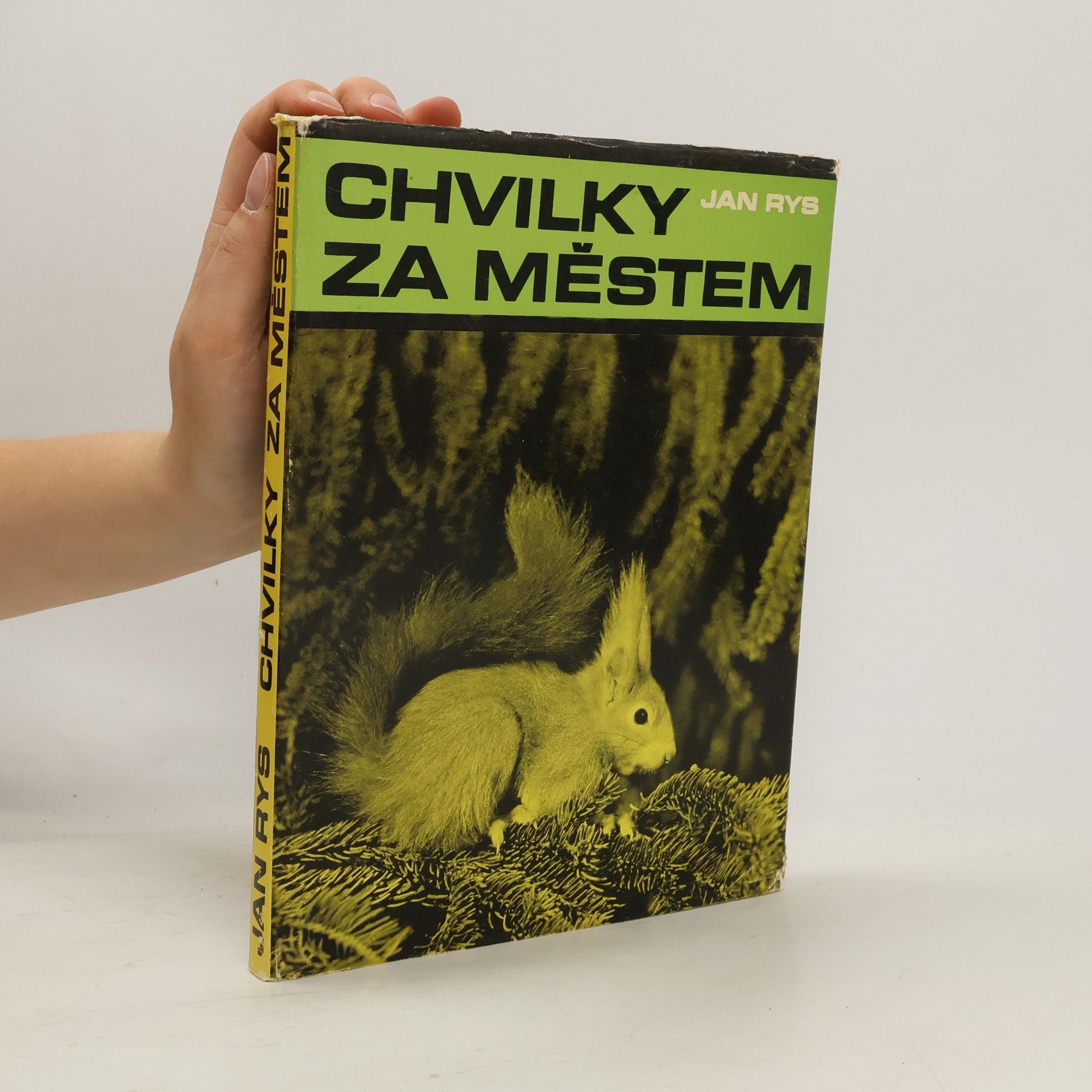 Jan Rys Chvilky za městem