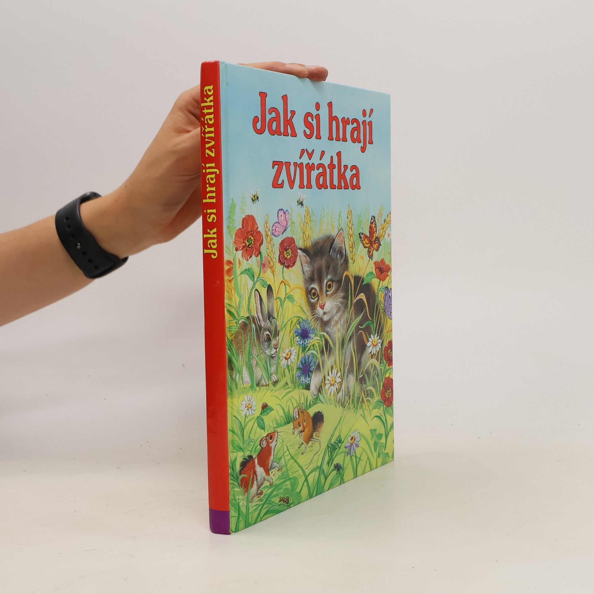 Gisela Fischer-Lingat Jak si hrají zvířátka