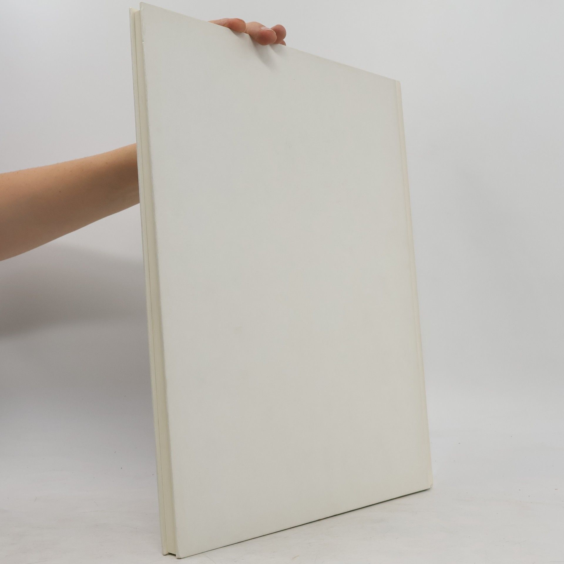 Collectif d'auteurs Das Buch. 100 Jahre Berliner Morgenpost
