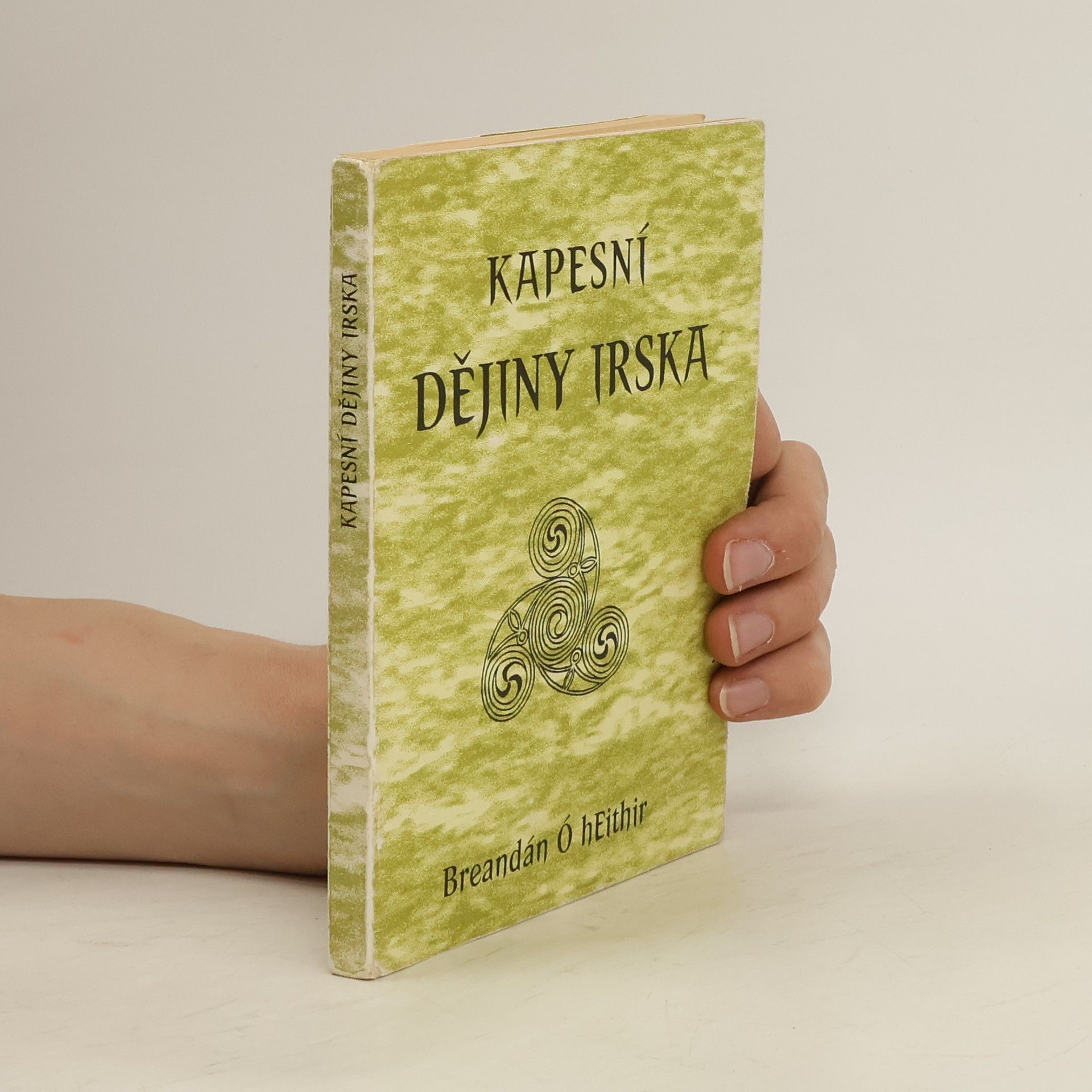 Breandán Ó. Eithir Kapesní dějiny Irska