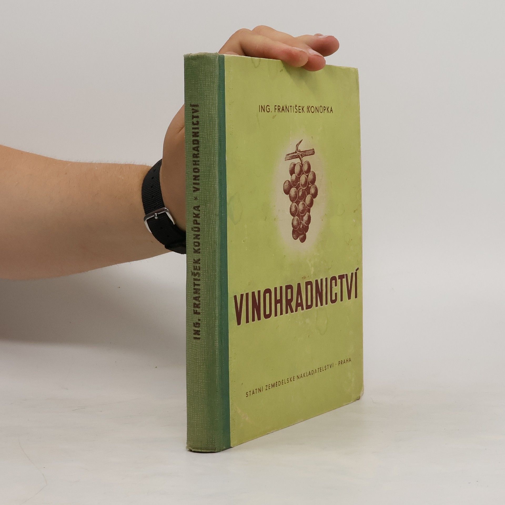 Konůpka František Vinohradnictví
