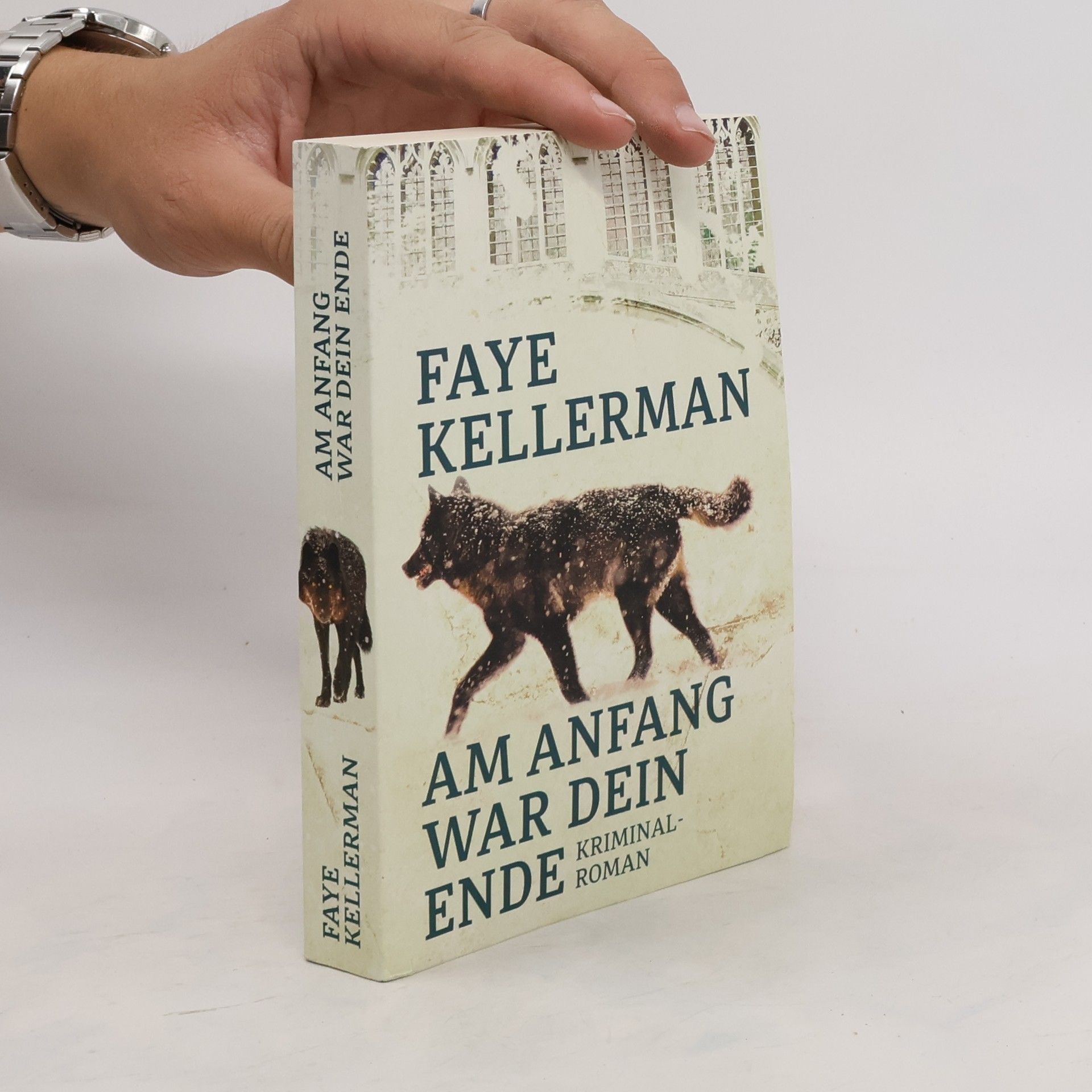 Faye Kelermann Am Anfang war dein Ende