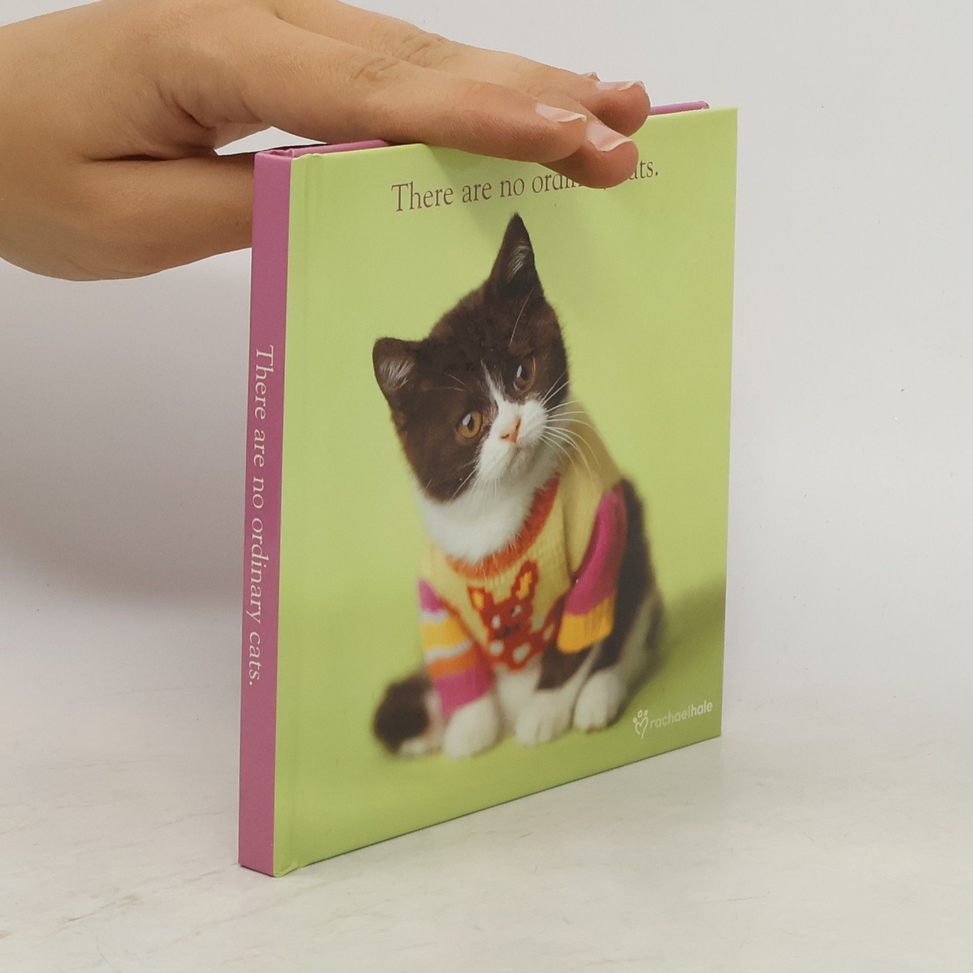 Rachael McKenna There Are No Ordinary Cats.