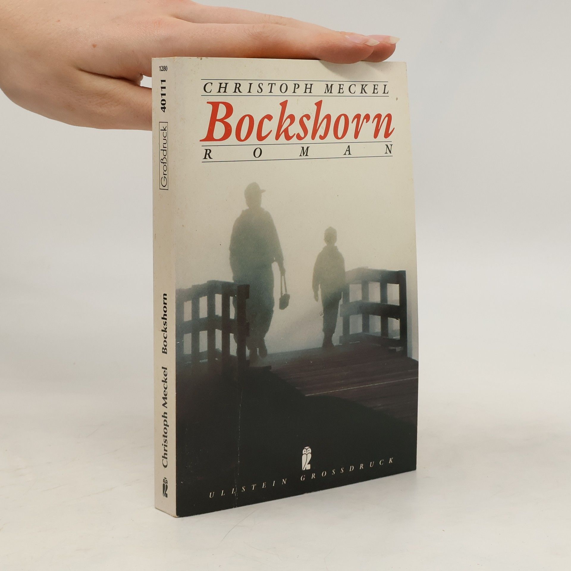 Christoph Meckel Bockshorn. Roman