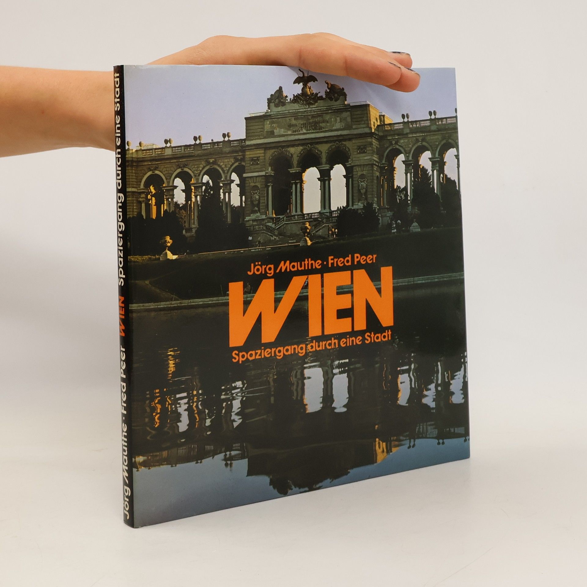 Jörg Mauthe Wien. Spaziergang durch eine Stadt