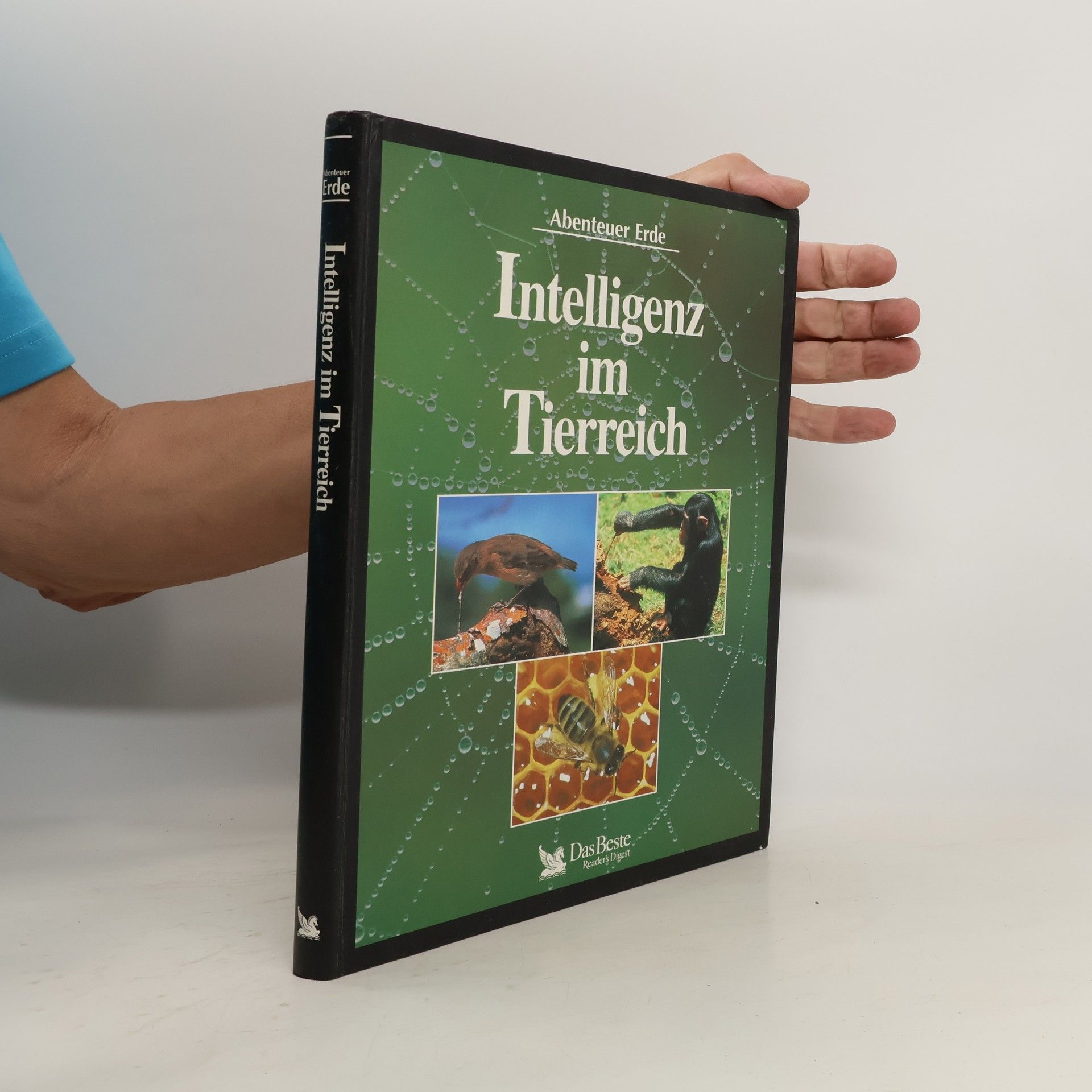 Autorenkollektiv Intelligenz im Tierreich