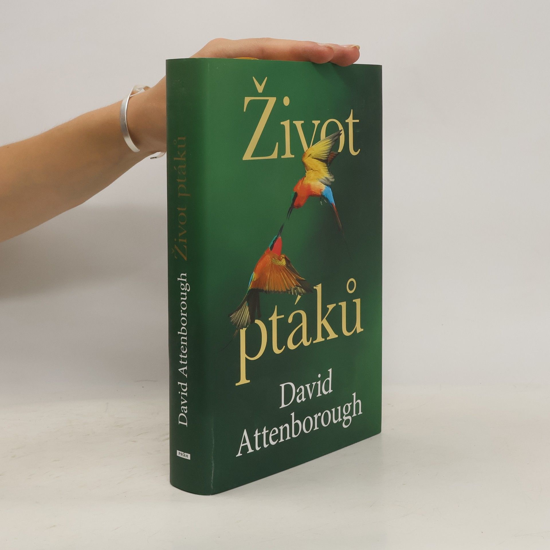 David Attenborough Život ptáků
