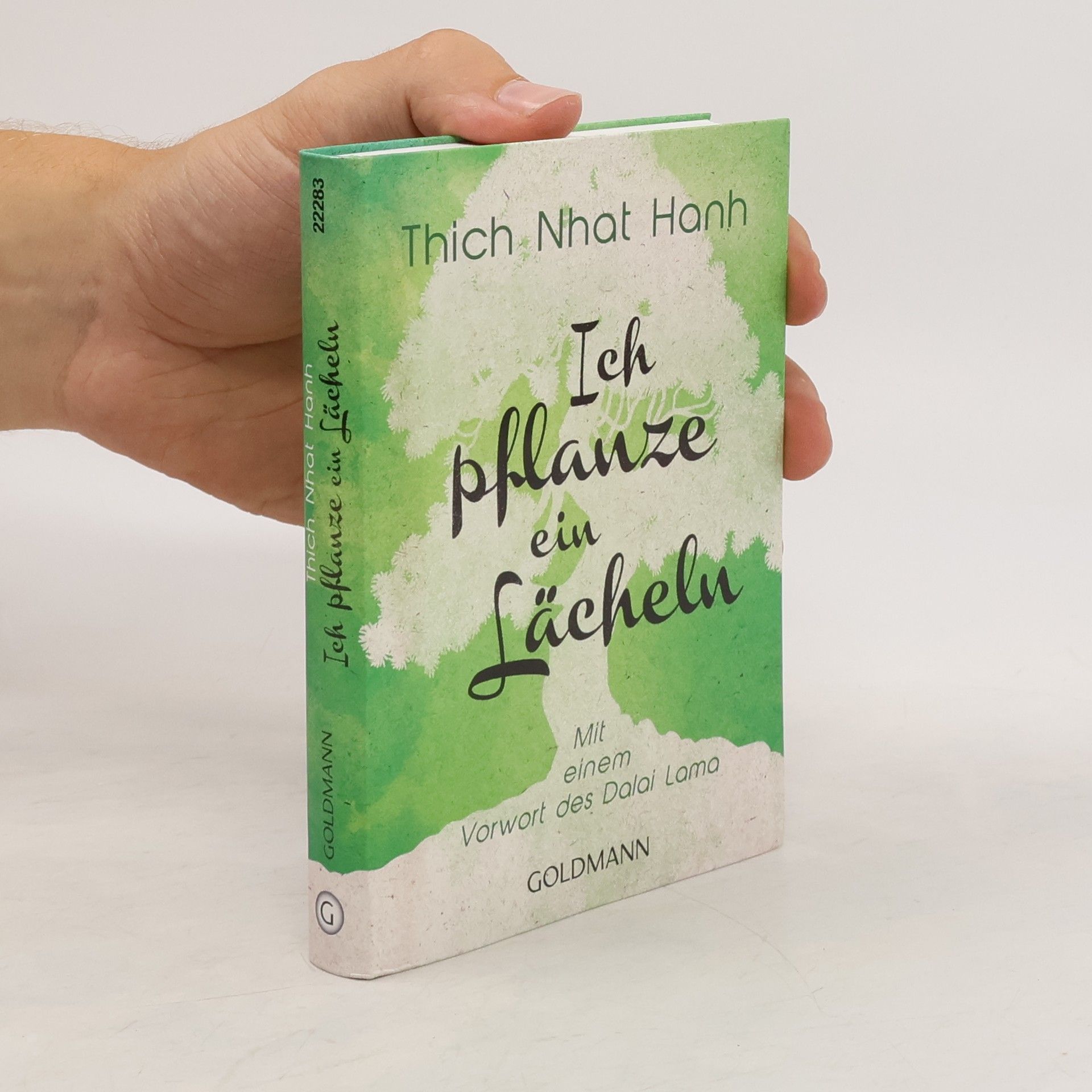 Nhat Thich Ich pflanze ein Lächeln
