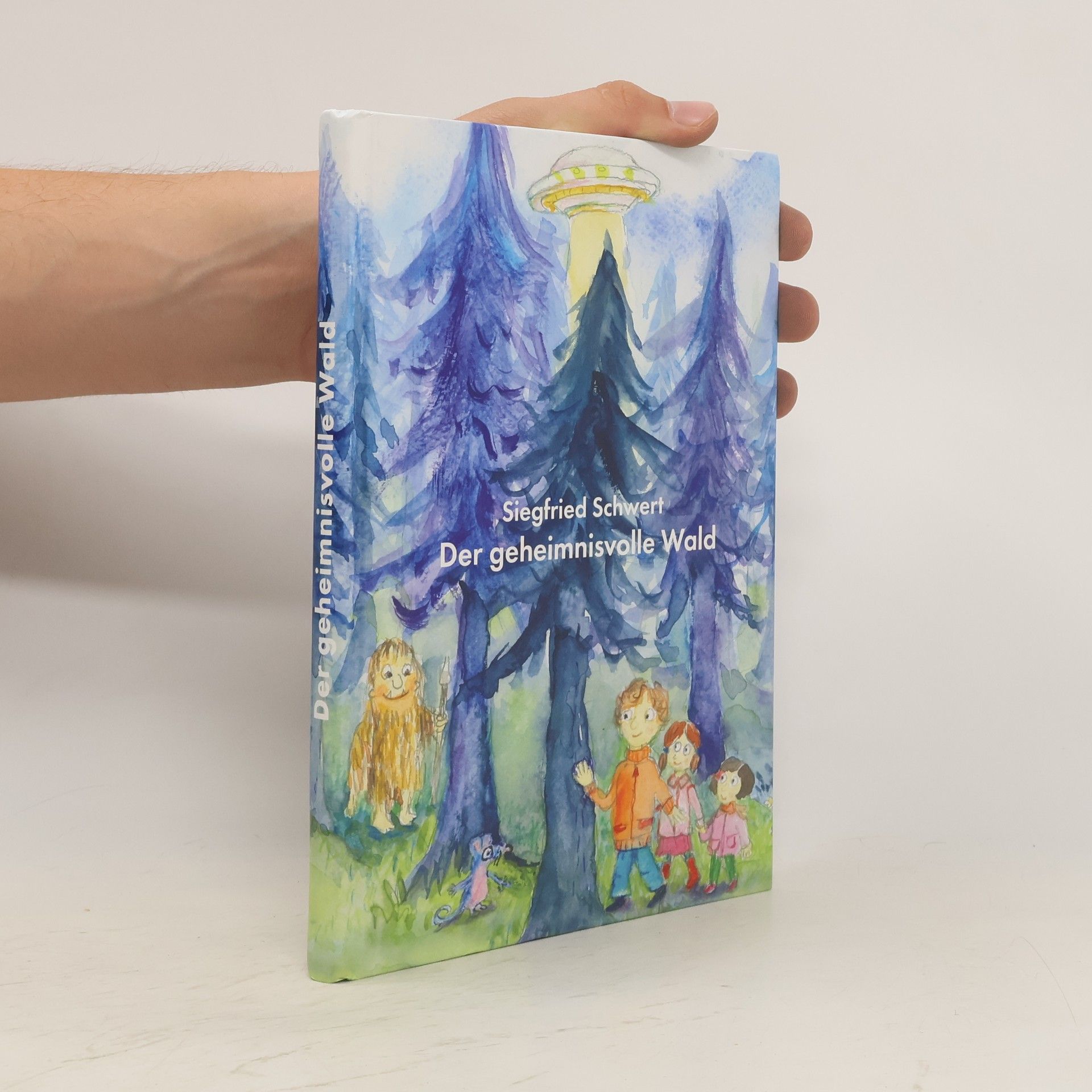 Der Geheimnisvolle Wald