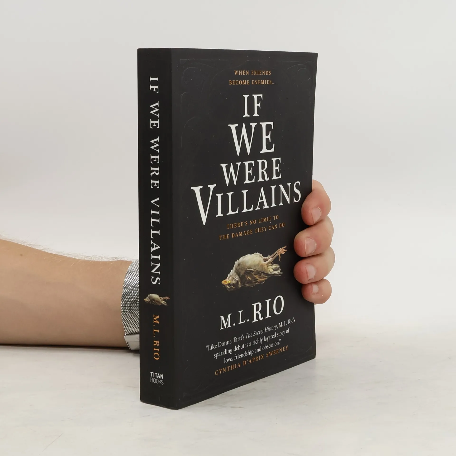 If We Were Villains | Kniha | M. L. Rio | EN