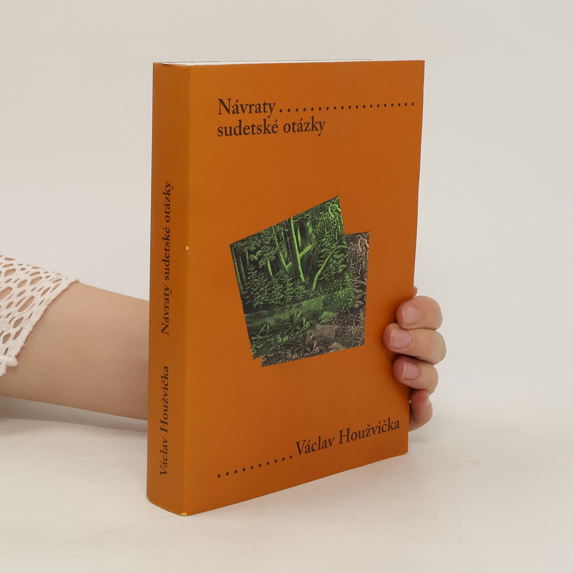 Václav Houžvička Návraty sudetské otázky