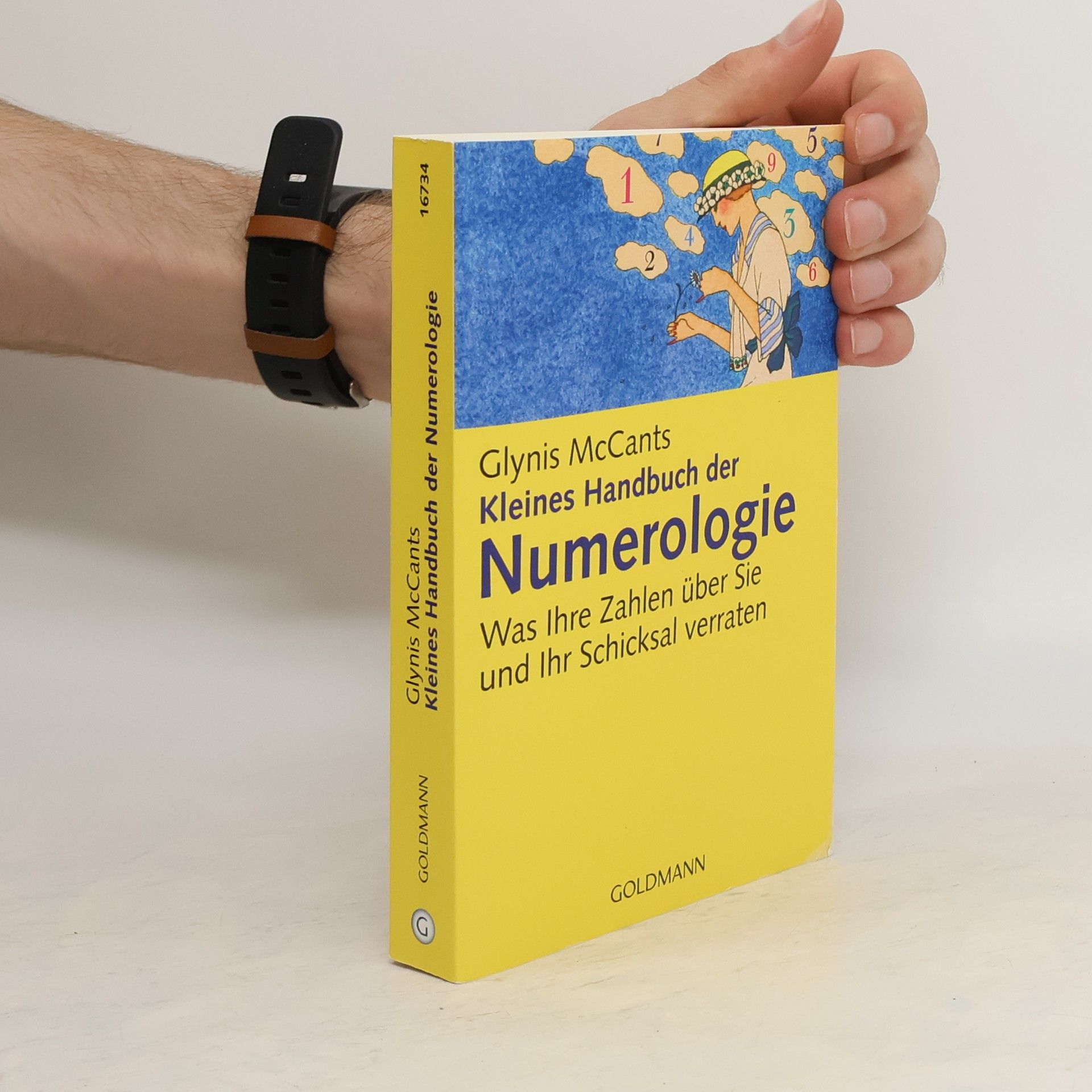 Glynis McCants Kleines Handbuch der Numerologie
