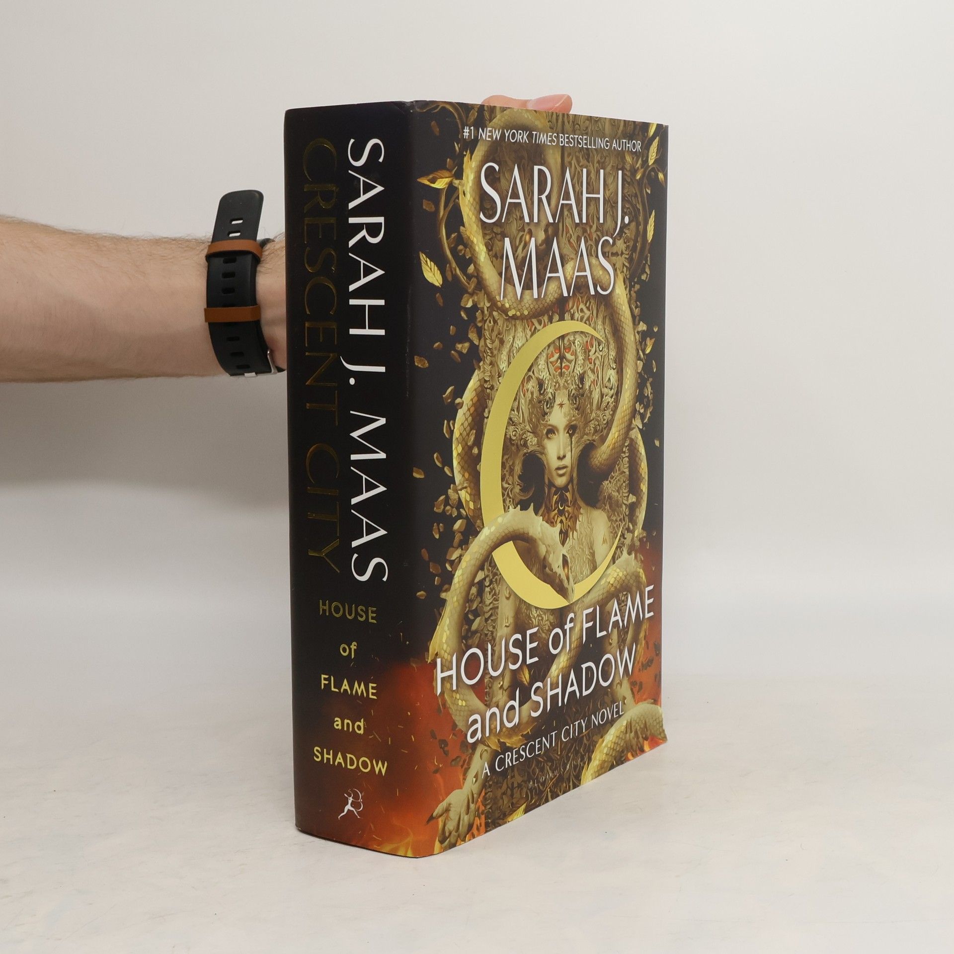 Sarah J. Maas House of flame and shadow
