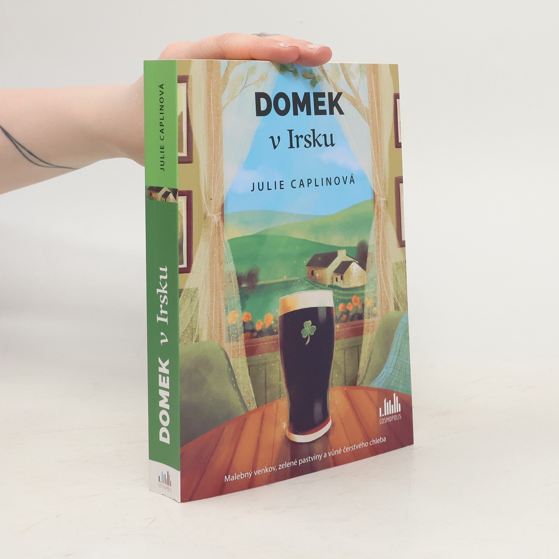 Julie Caplin Domek v Irsku