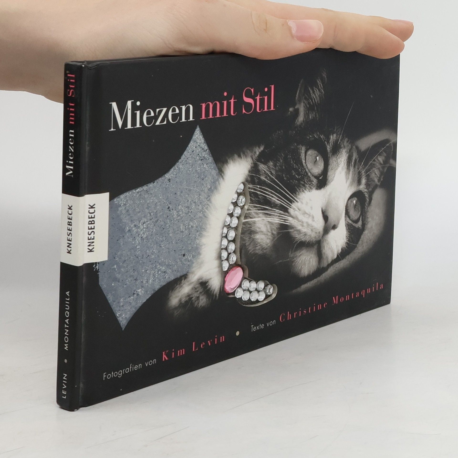 Kim Levin Miezen mit Stil