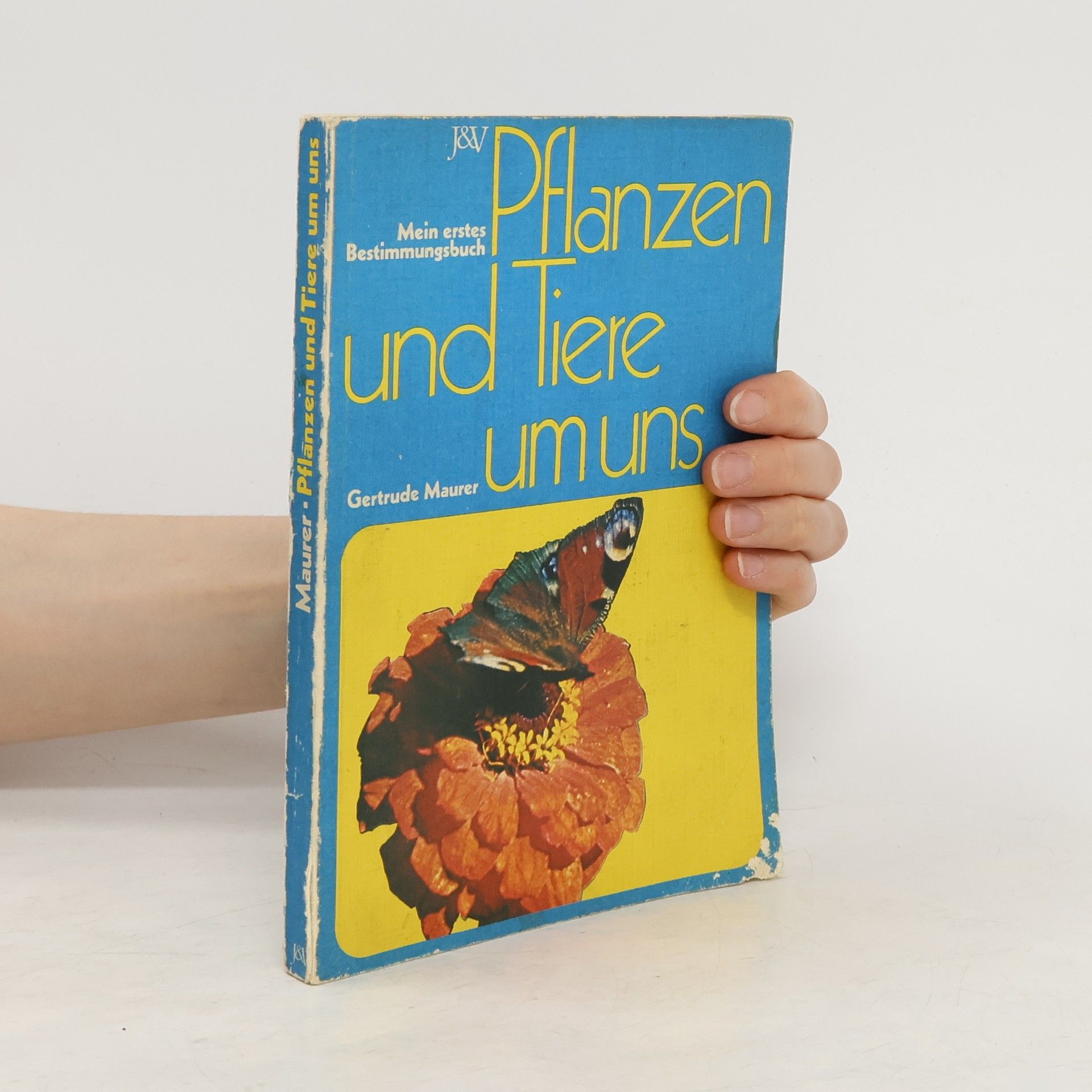 Gertrude Maurer Pflanzen und Tiere um uns