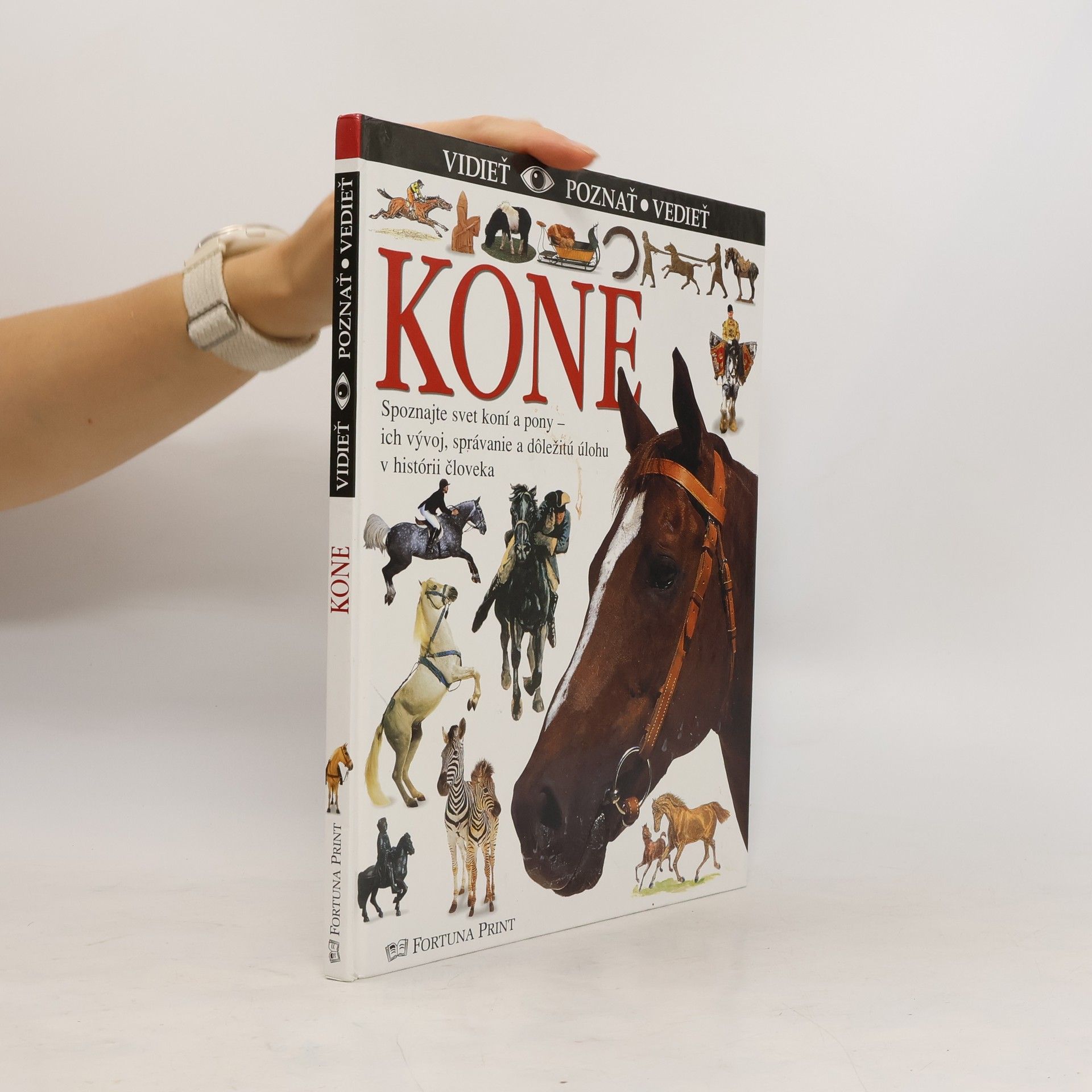 kolektiv Kone