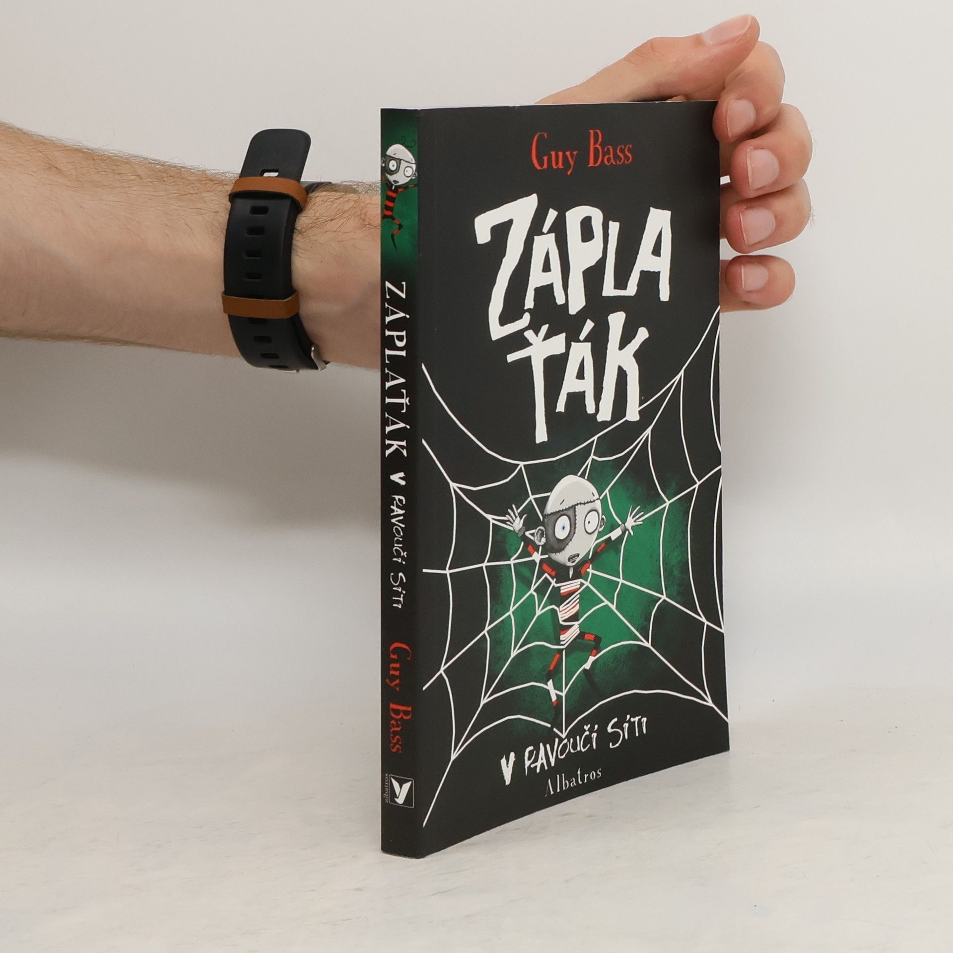 Guy Bass Záplaťák v pavoučí síti