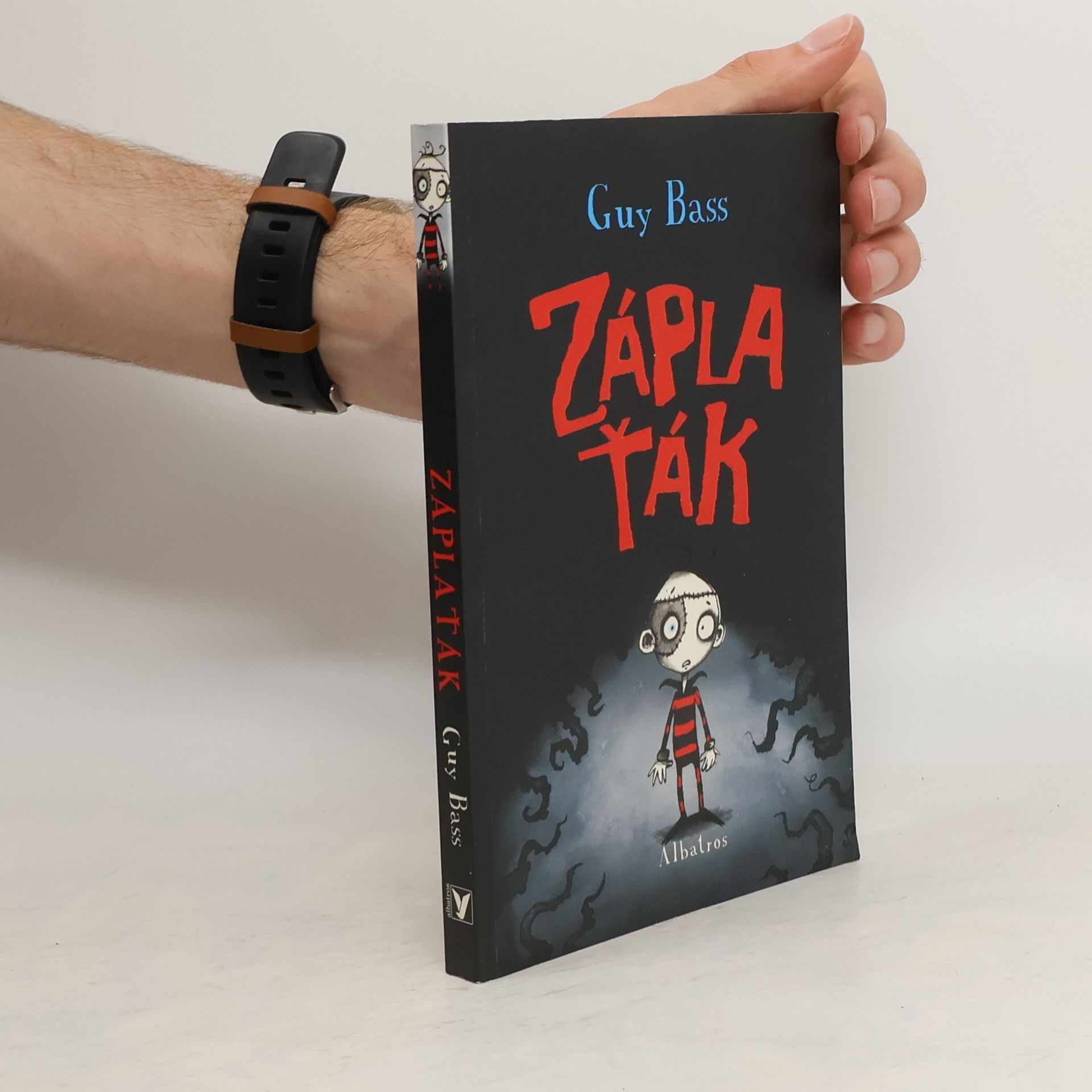 Guy Bass Záplaťák