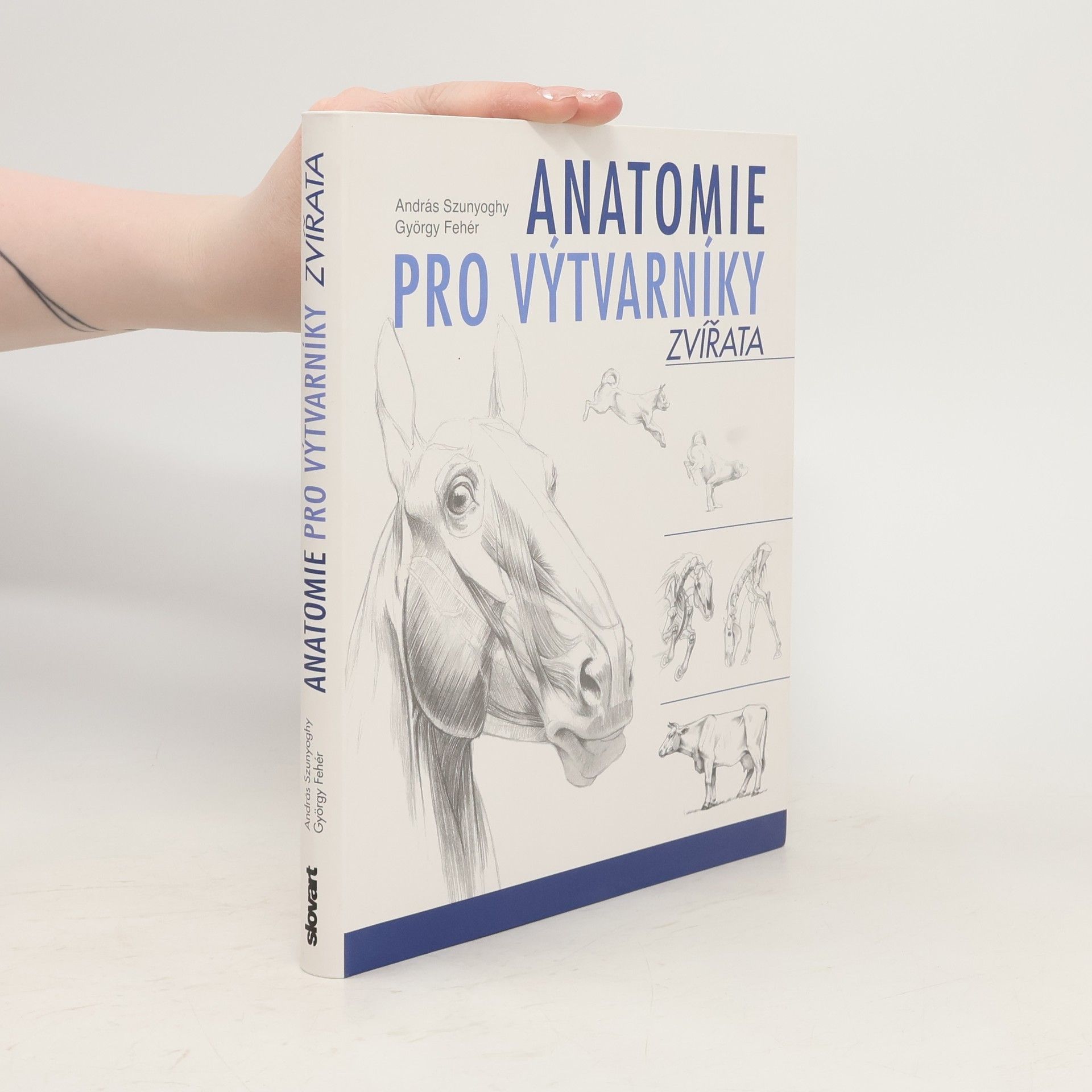 György Fehér Anatomie pro výtvarníky - Zvířata