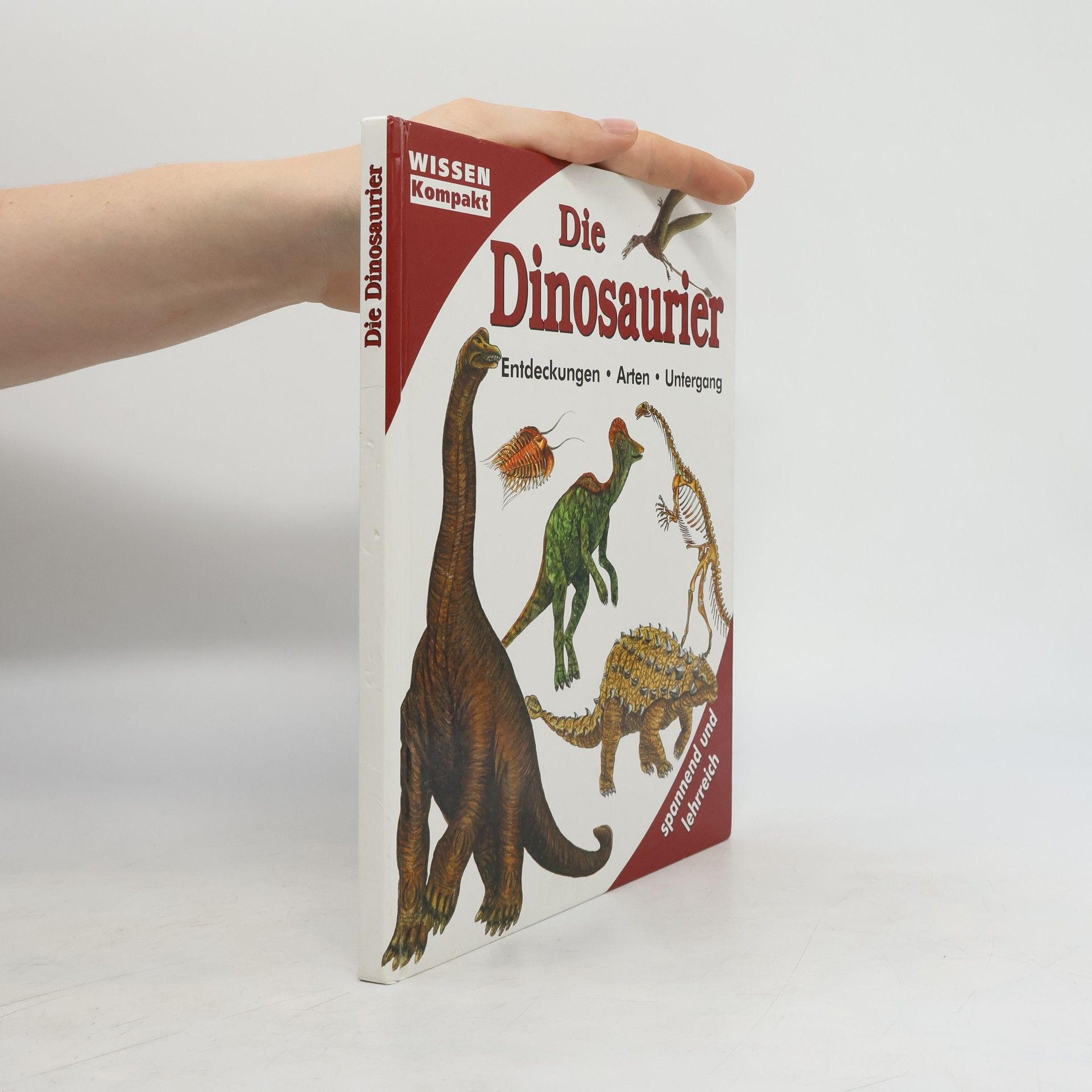 Autorenkollektiv Die Dinosaurier