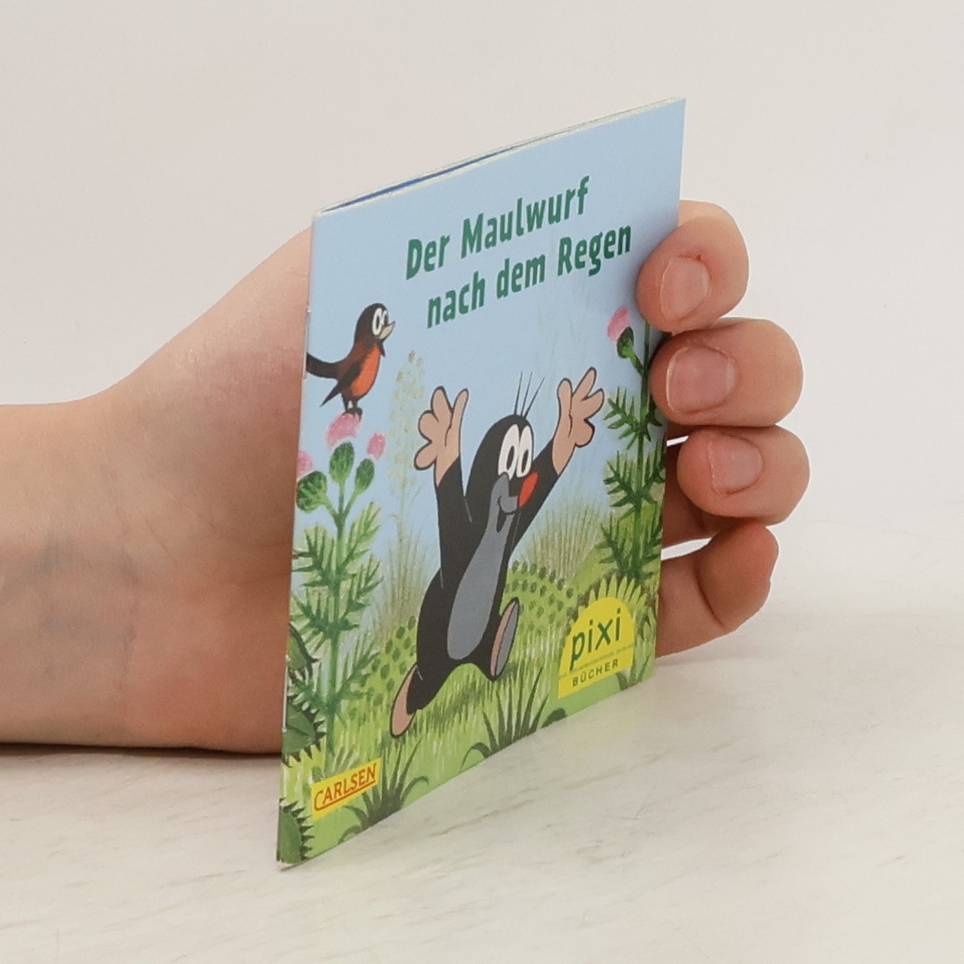 Daniel Napp Dr. Brumm steckt fest