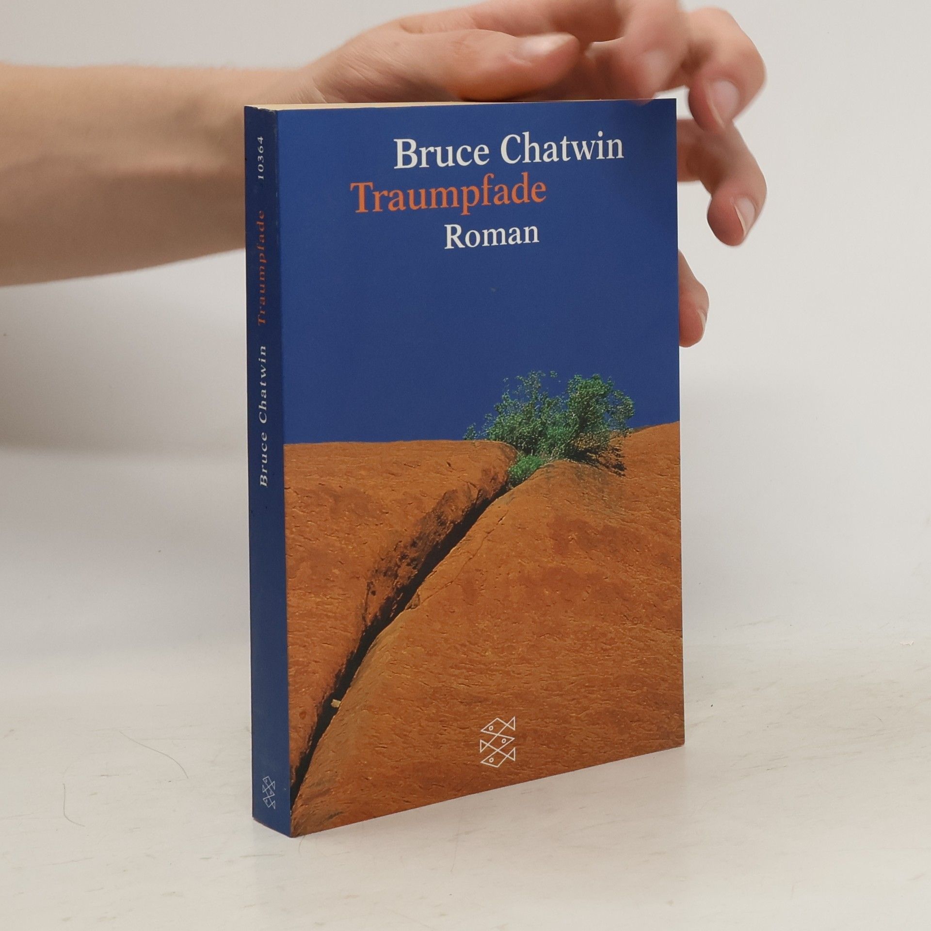 Bruce Chatwin Traumpfade