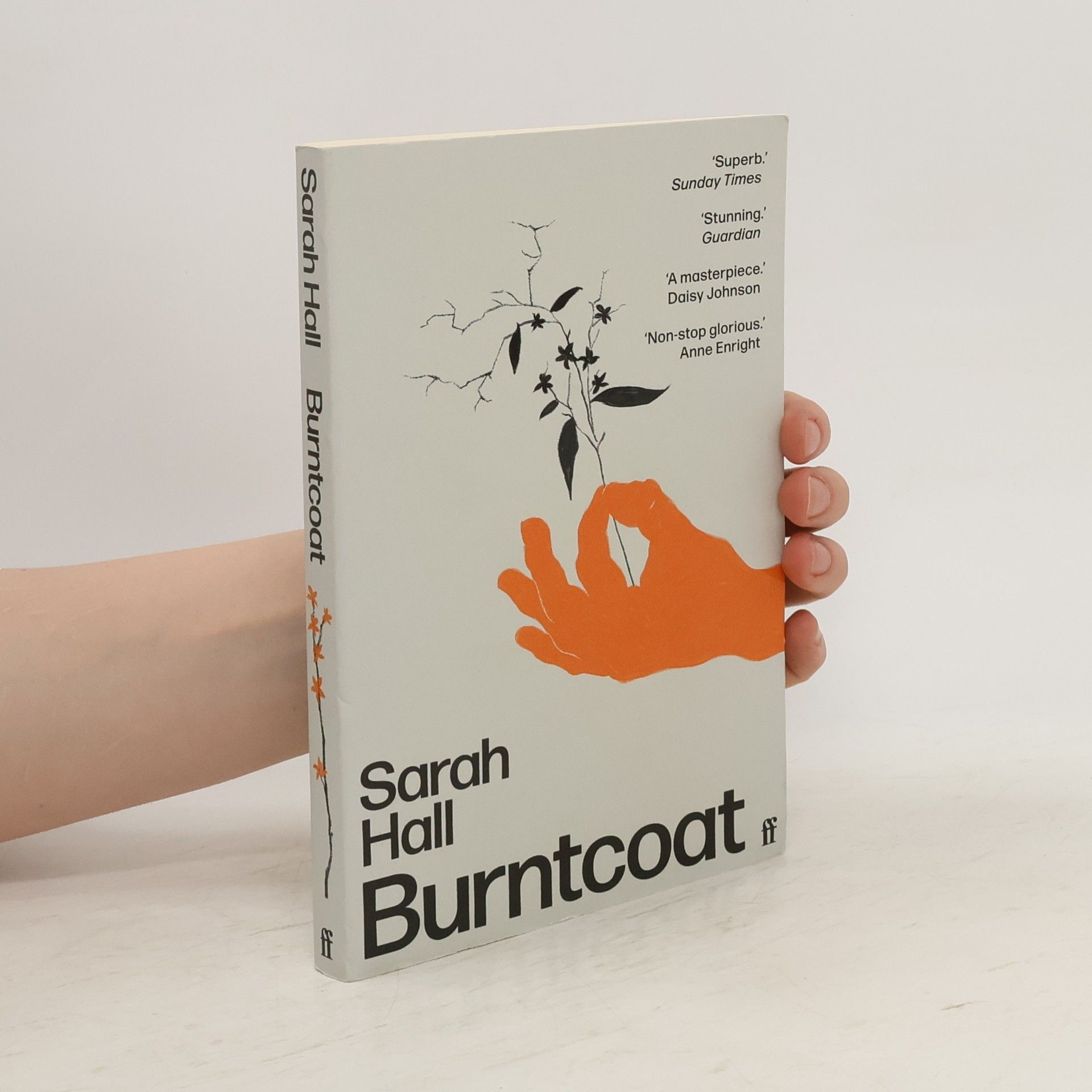 Sarah Hall Burntcoat
