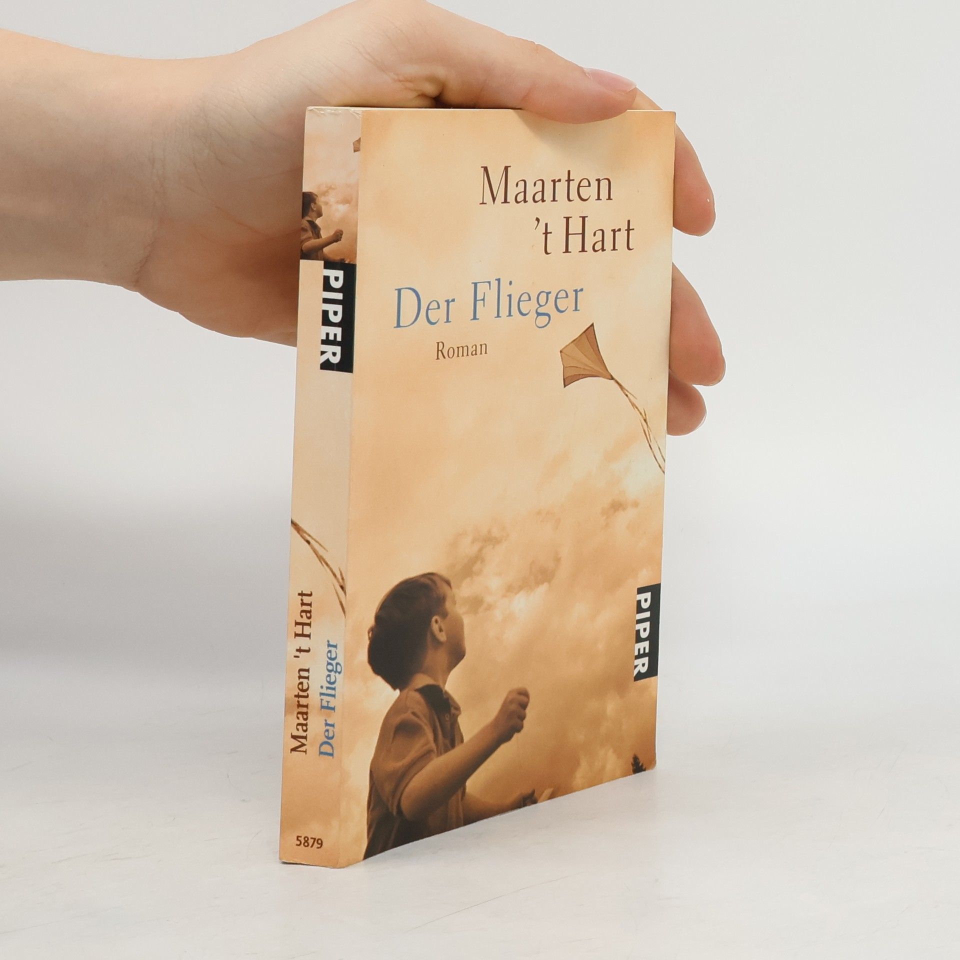 Maarten t. Hart Der Flieger