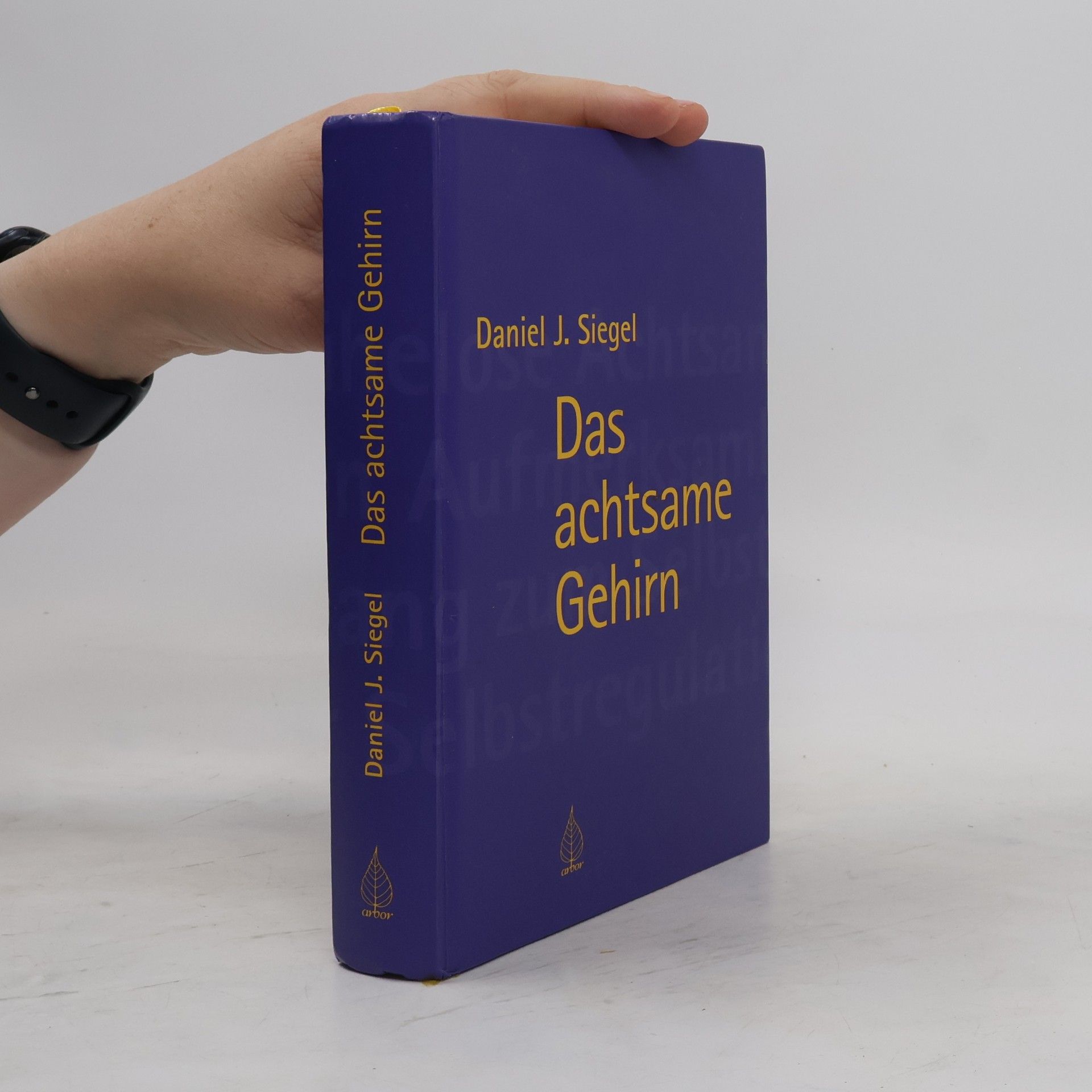 Daniel J. Siegel Das achtsame Gehirn