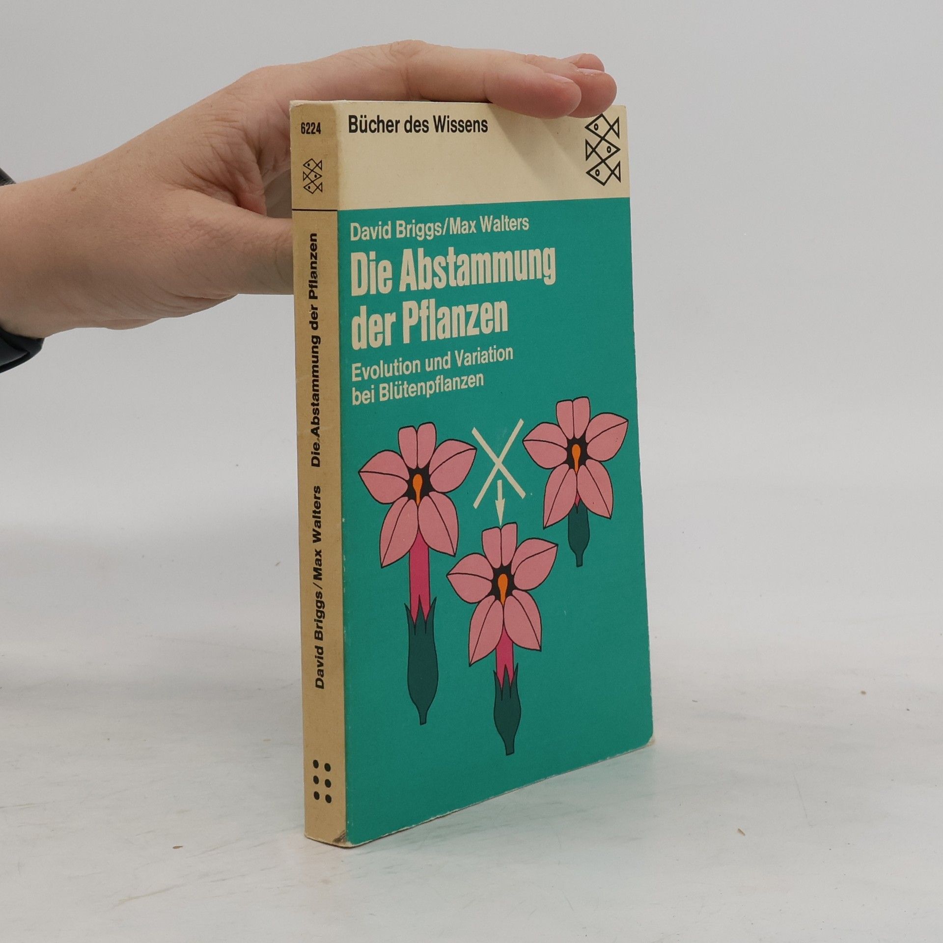 David Briggs Die Abstammung der Pflanzen