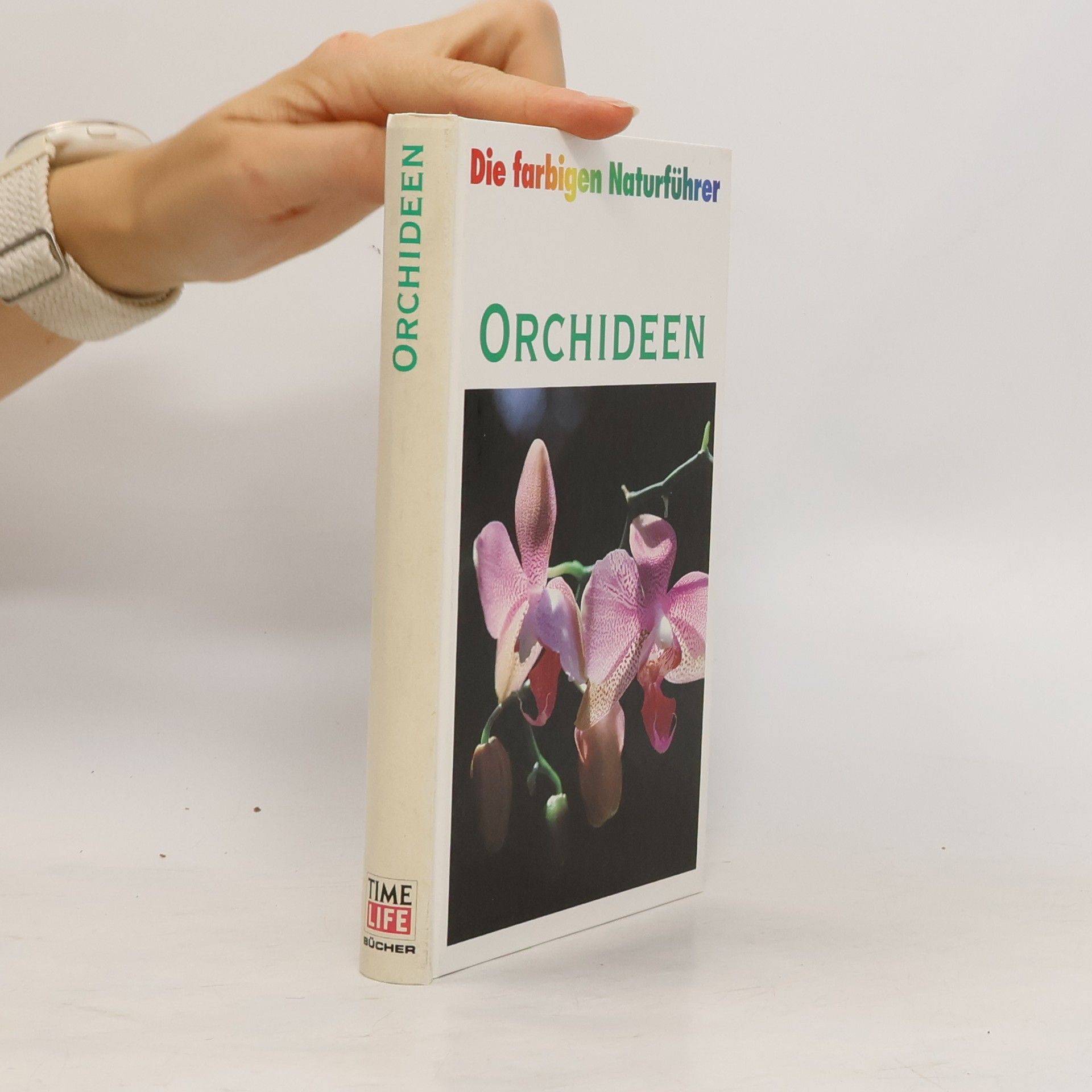 kolektiv Orchideen