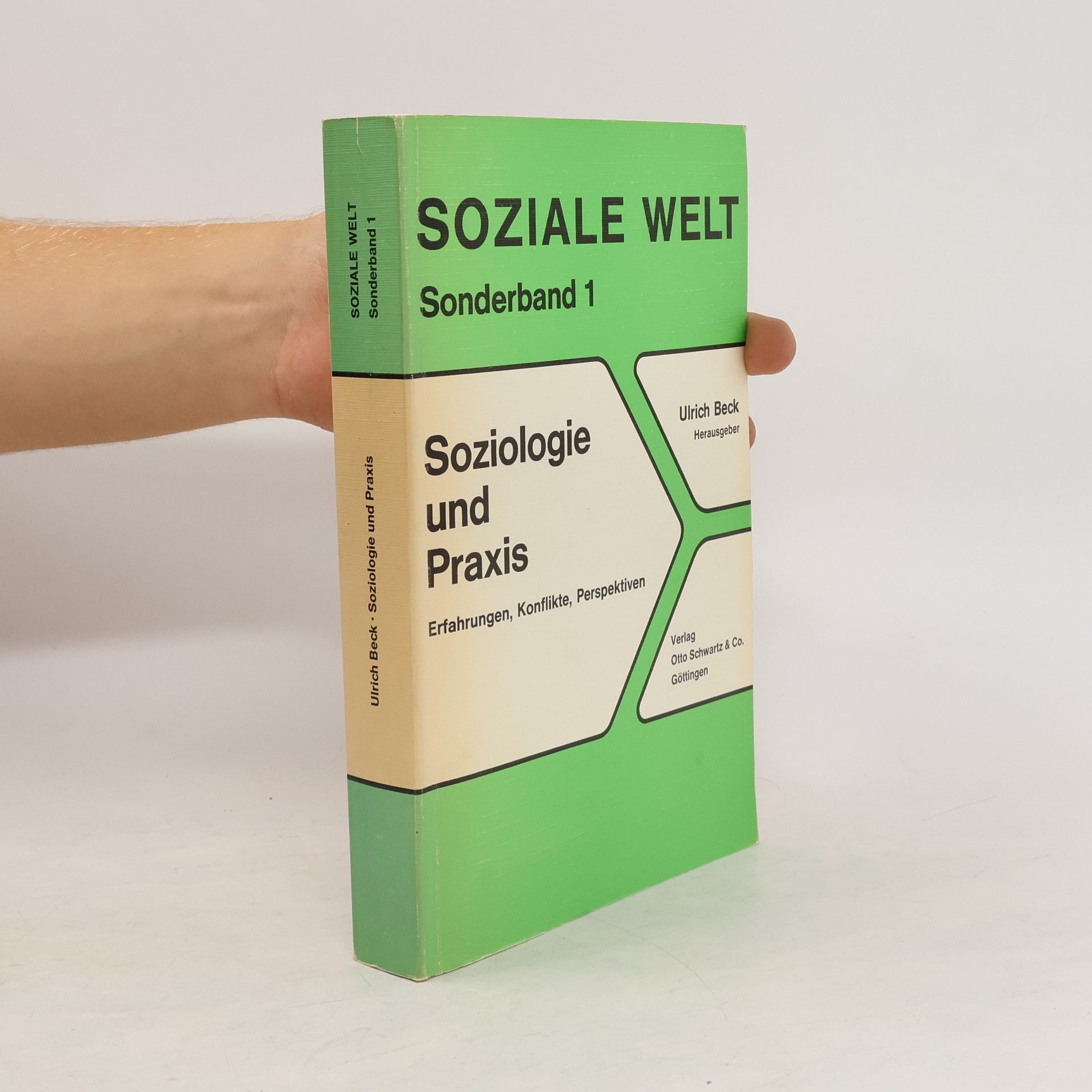 Ulrich Beck Soziologie und Praxis