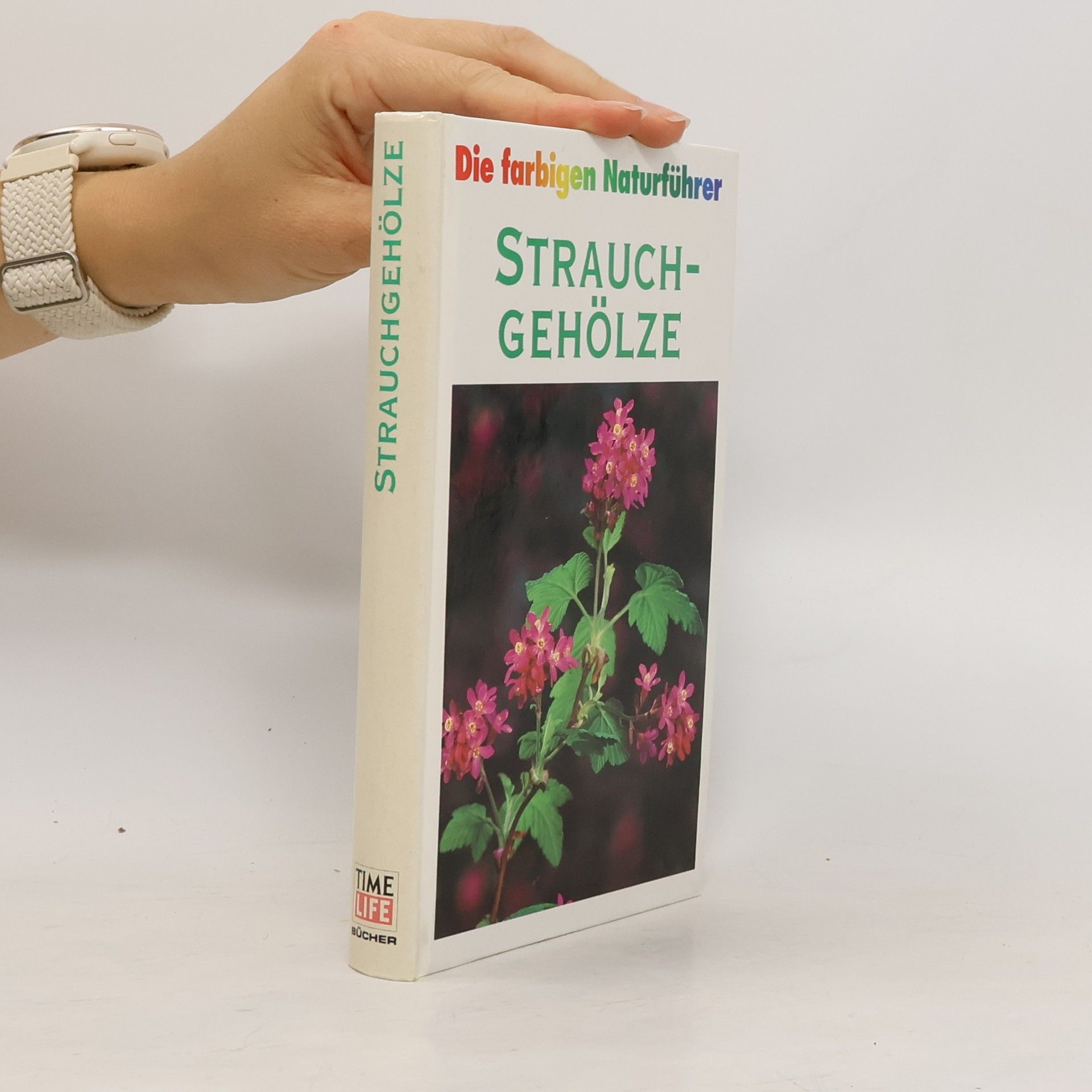 Autorenkollektiv Strauchgehölze