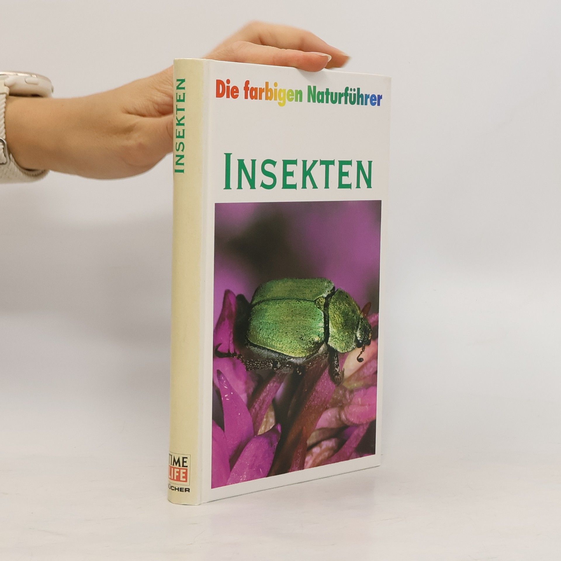 Autorenkollektiv Insekten